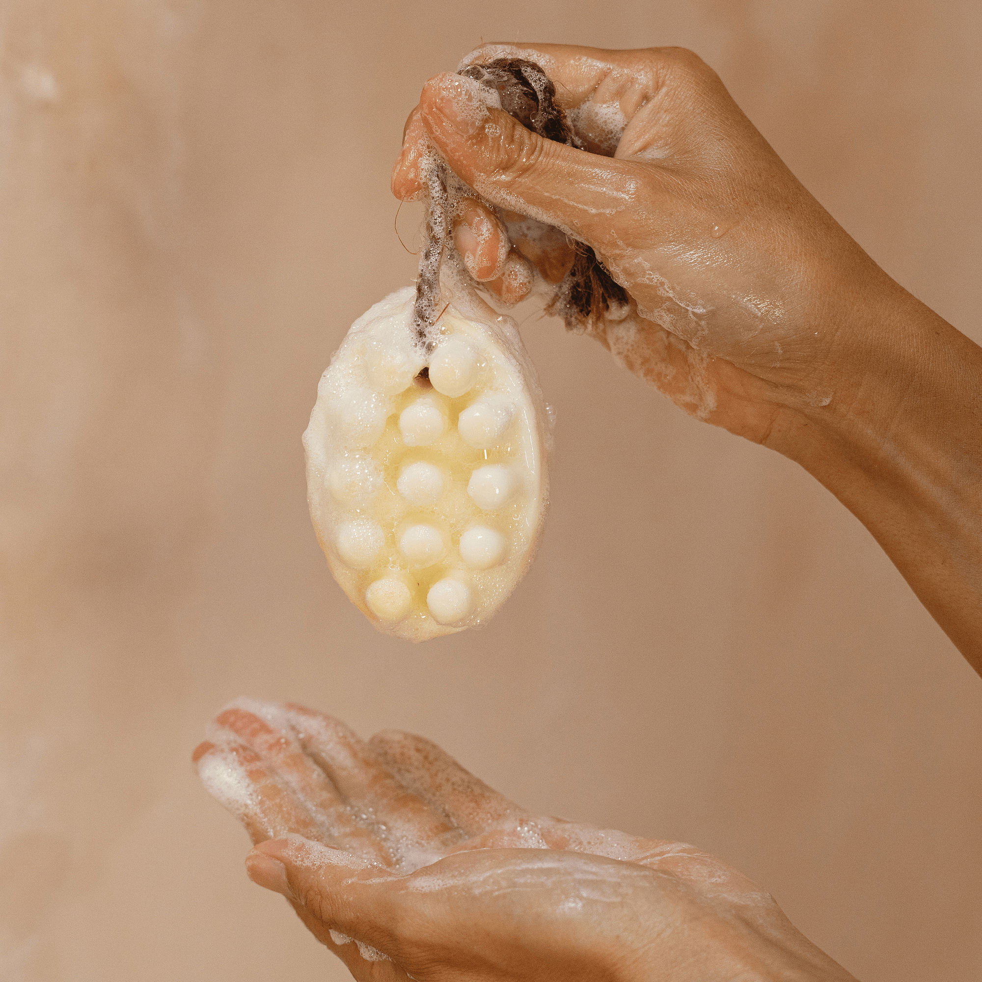 CEDAR AND MYRRH Palo Santo Bar Soap