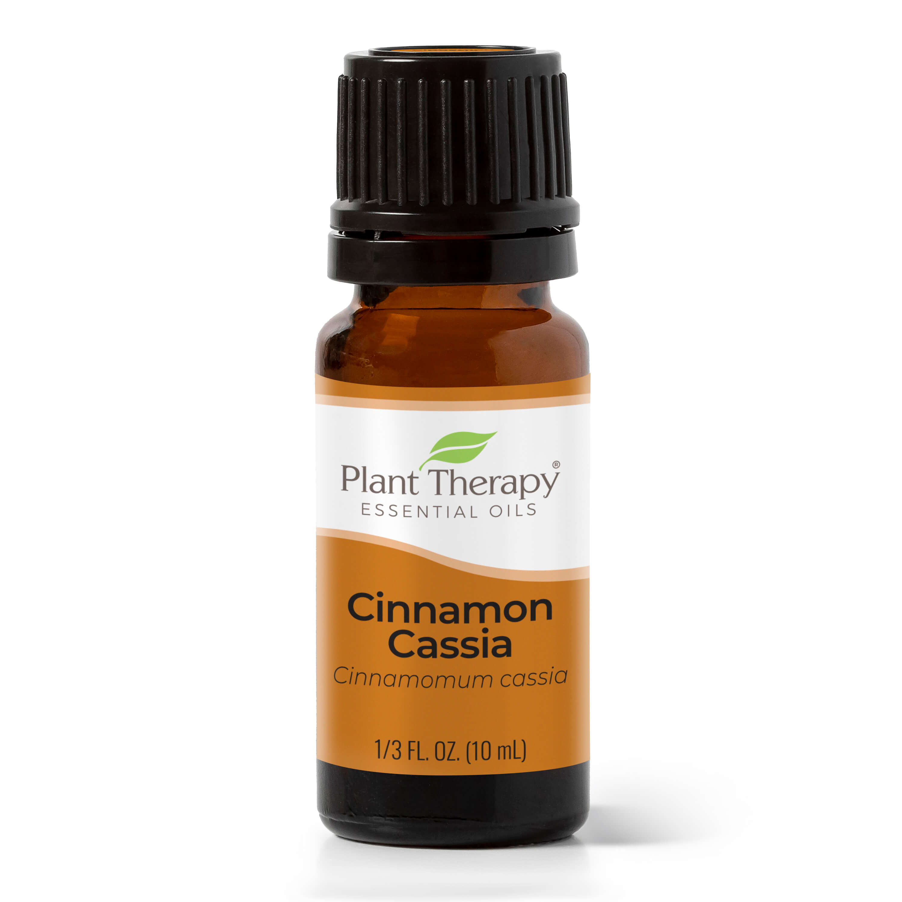 Cinnamon Cassia Essential Oil