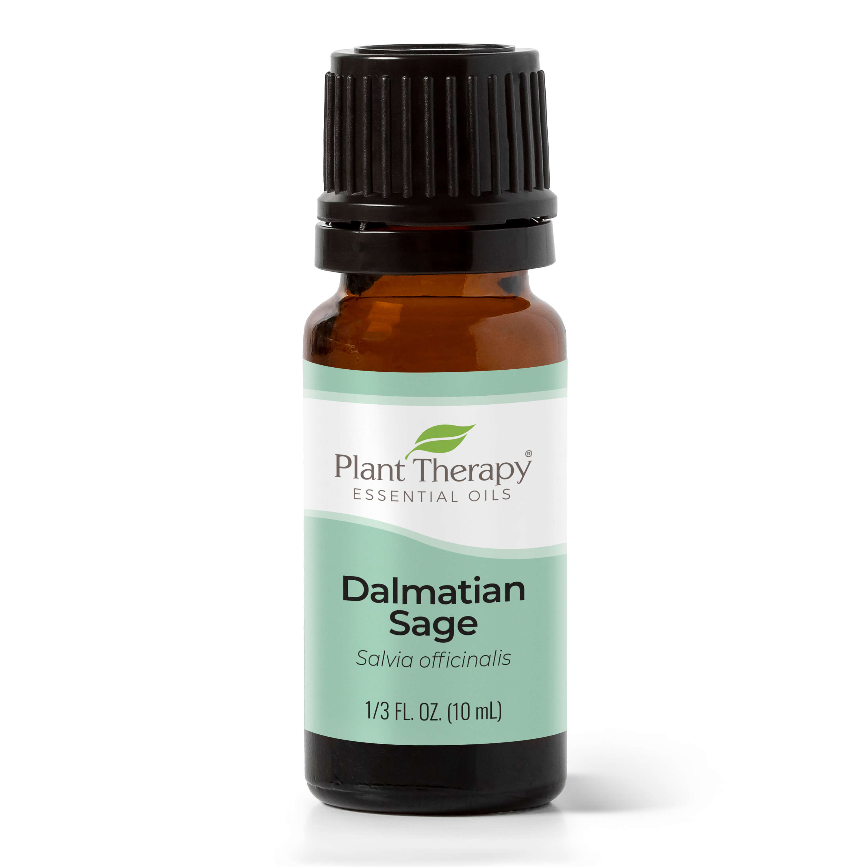 Dalmatian Sage Essential Oil