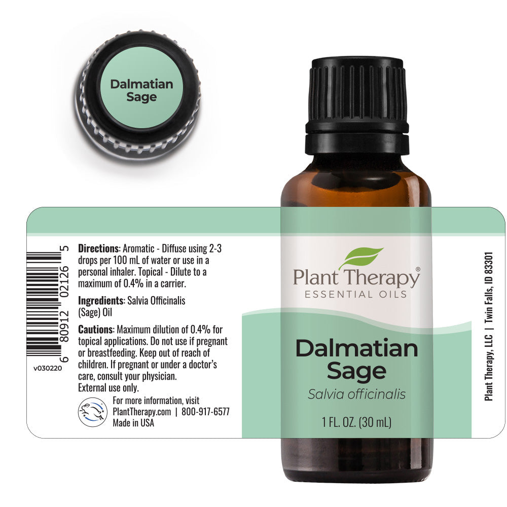 Dalmatian Sage Essential Oil