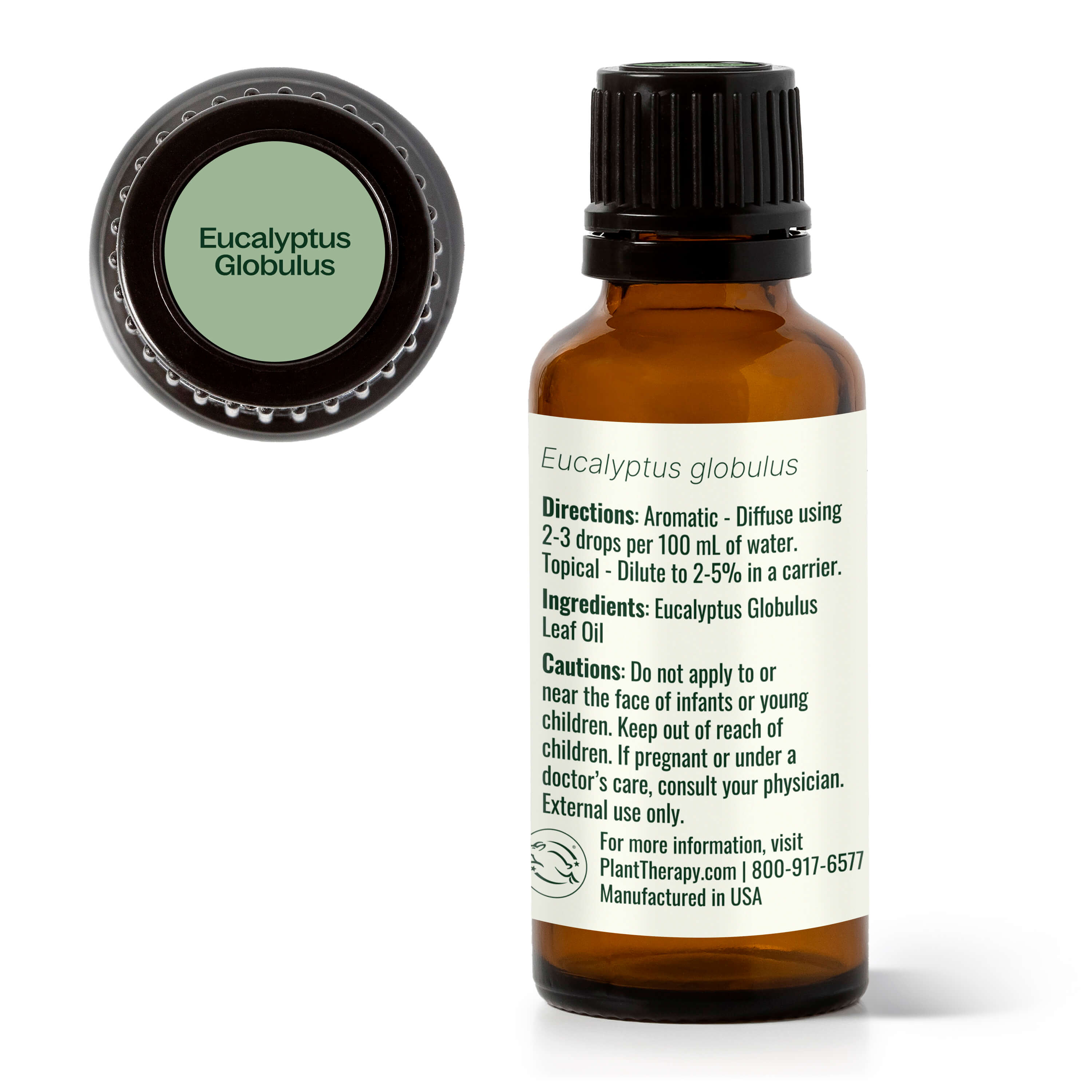 Eucalyptus Globulus Essential Oil