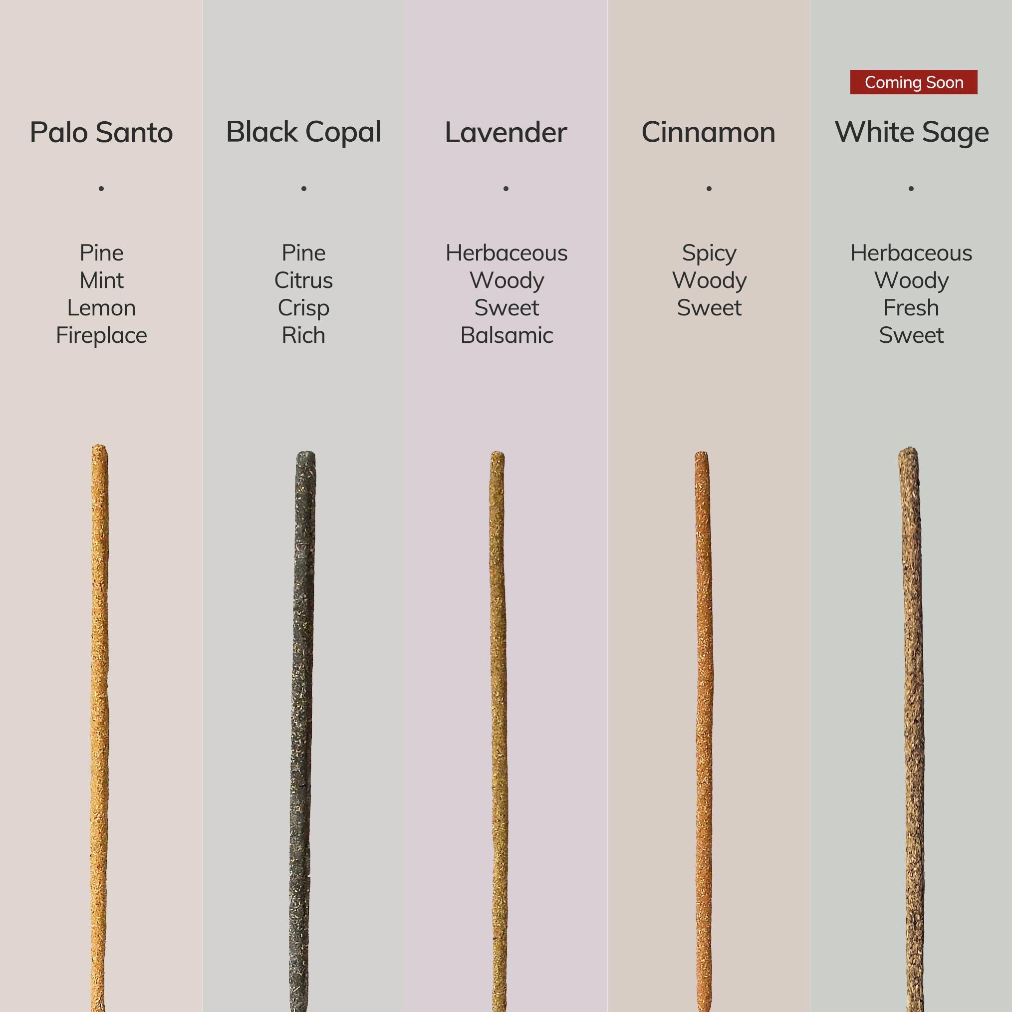 Palo Santo Hand-Rolled Incense Stick | 7 sticks