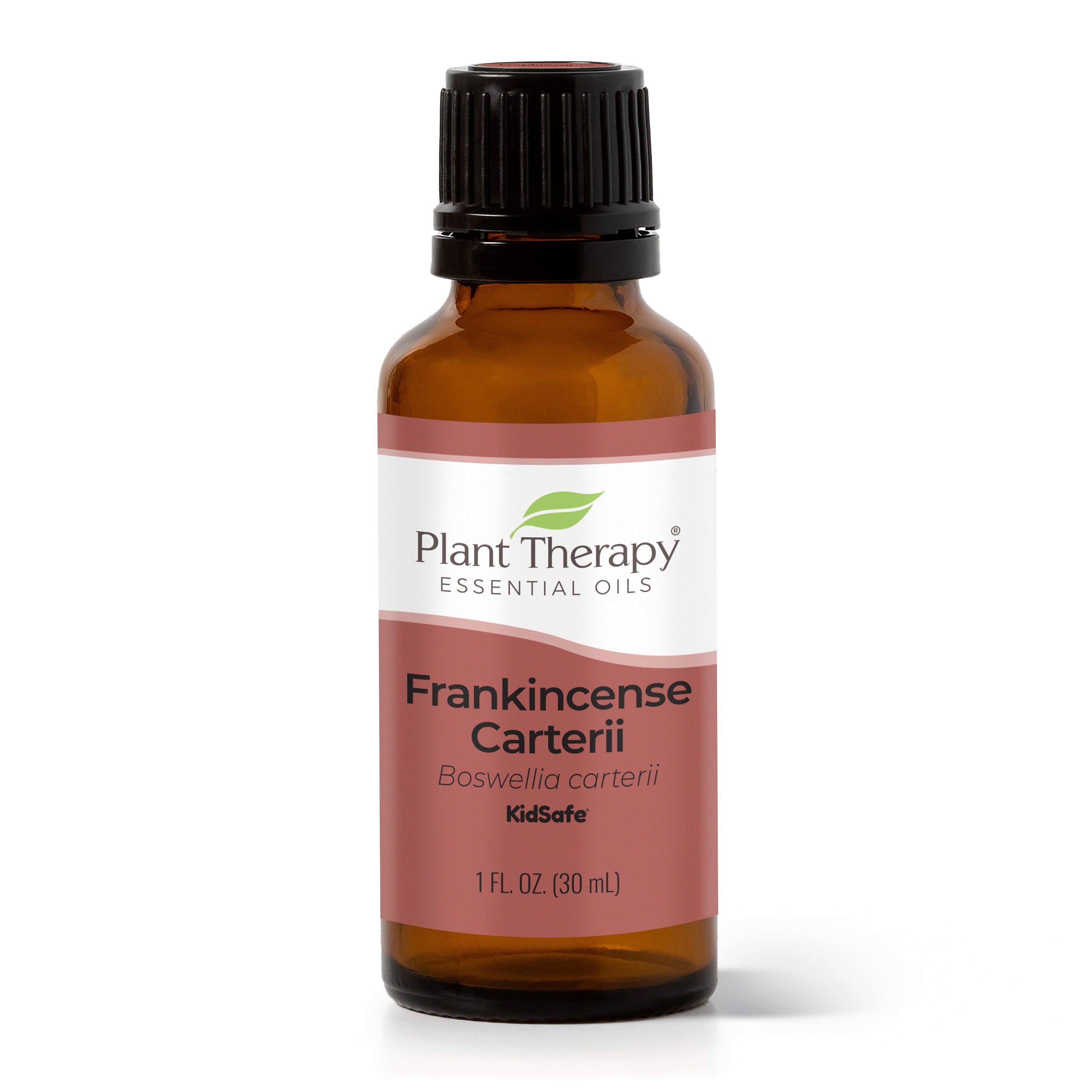 Frankincense Carterii Essential Oil