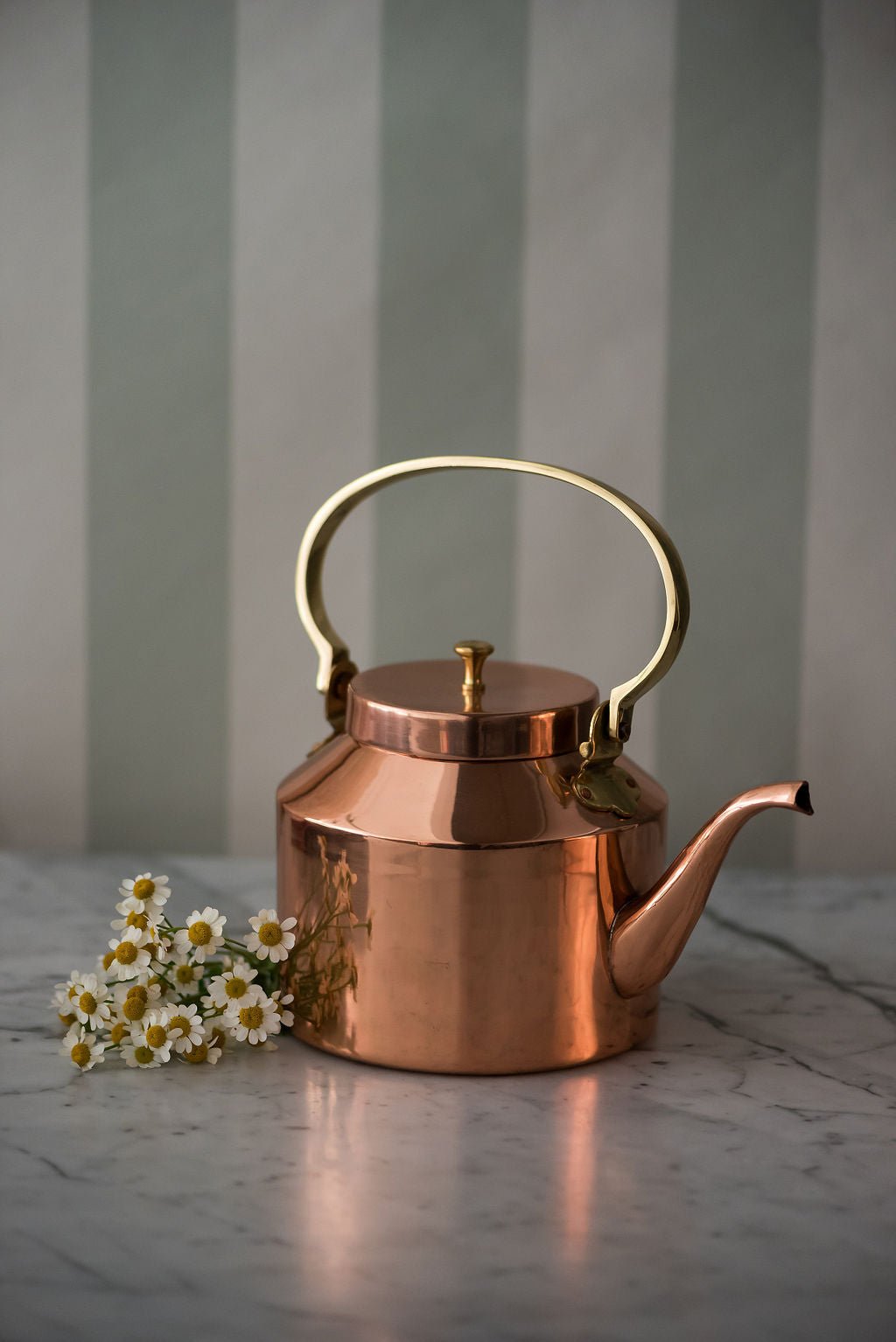 Galley & FenEnglish Copper Tea Kettle - M.S Skincare