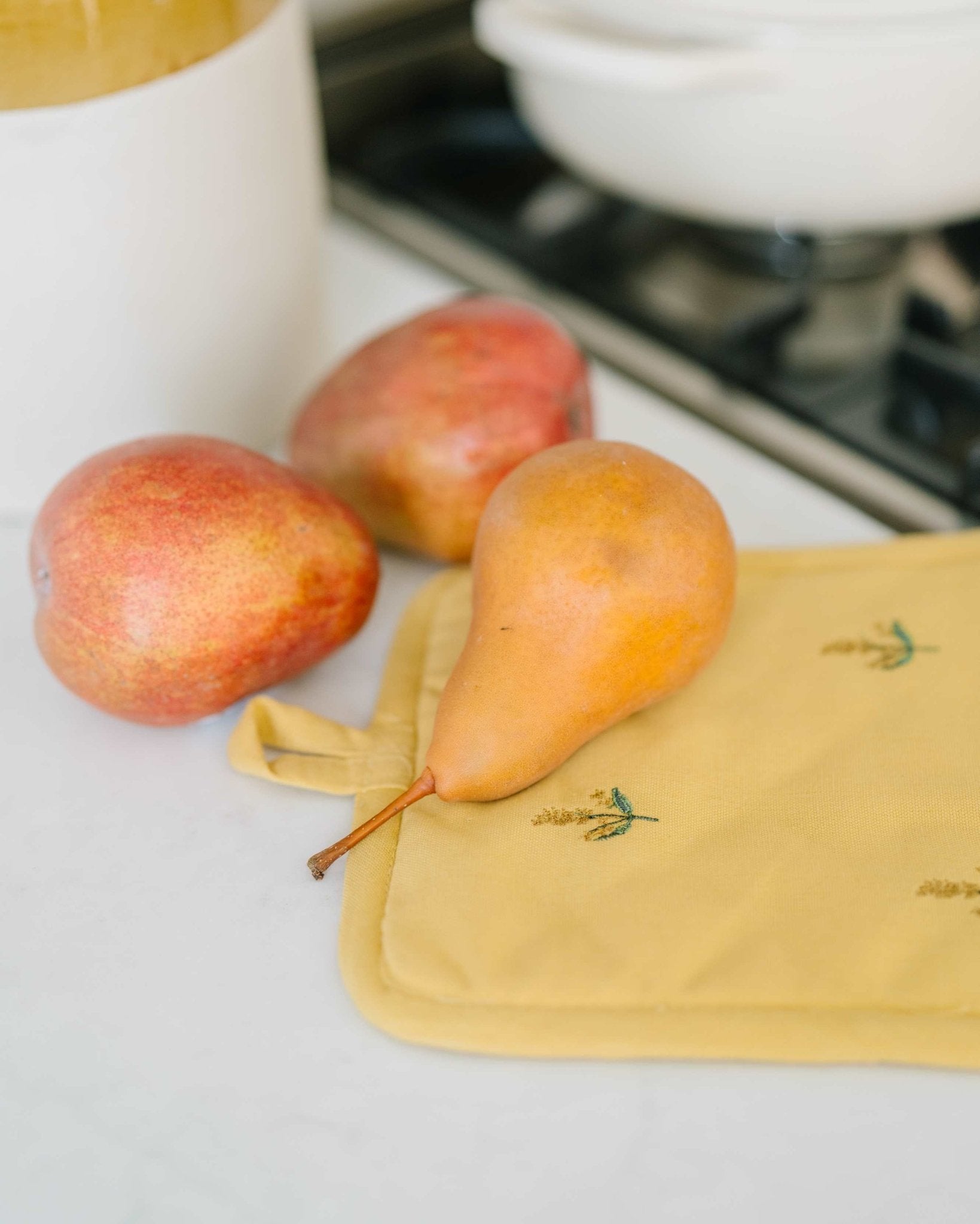 Galley & Fen Yellow Embroidered Pot Holder