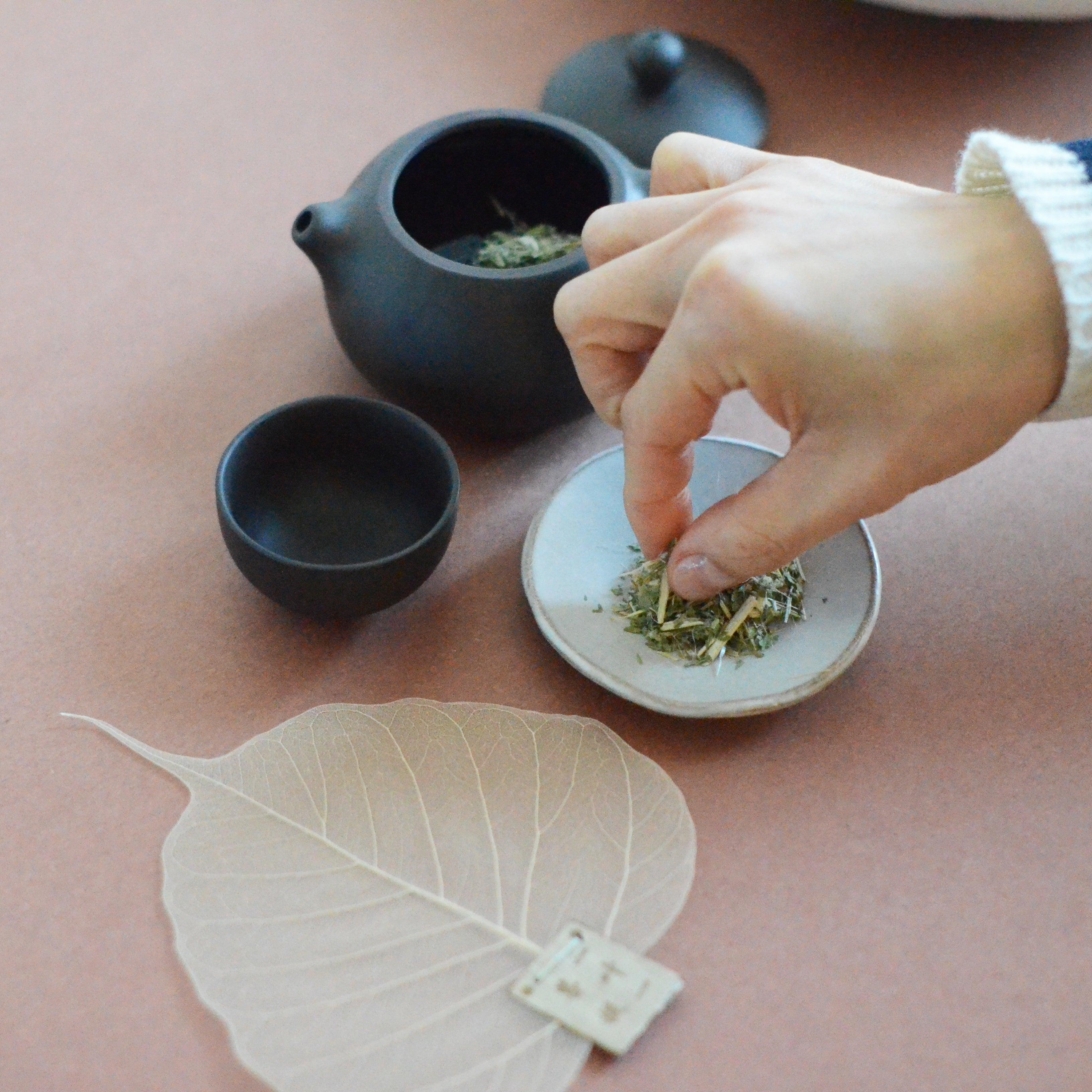 Coladores de té con forma de hojas naturales 