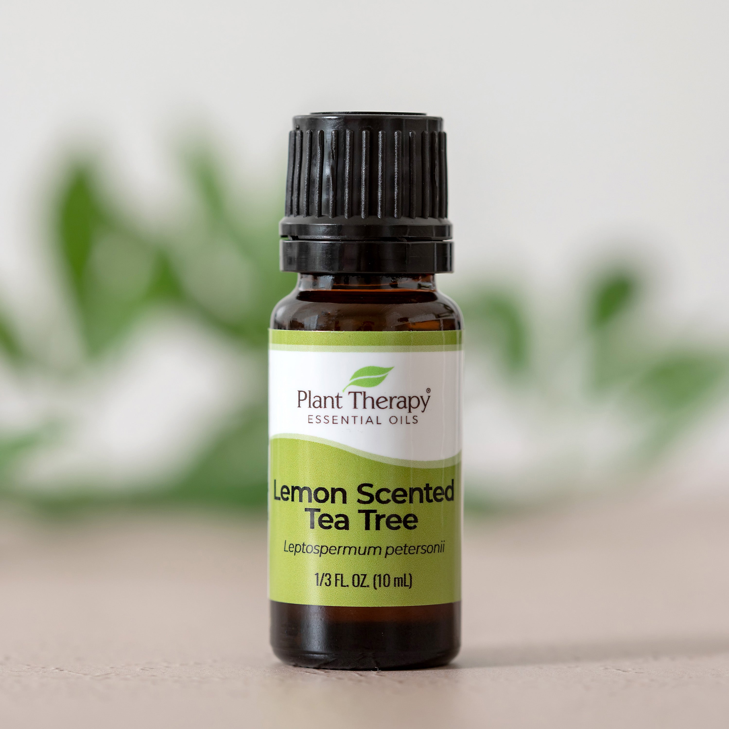 Aceite esencial de árbol de té con aroma a limón