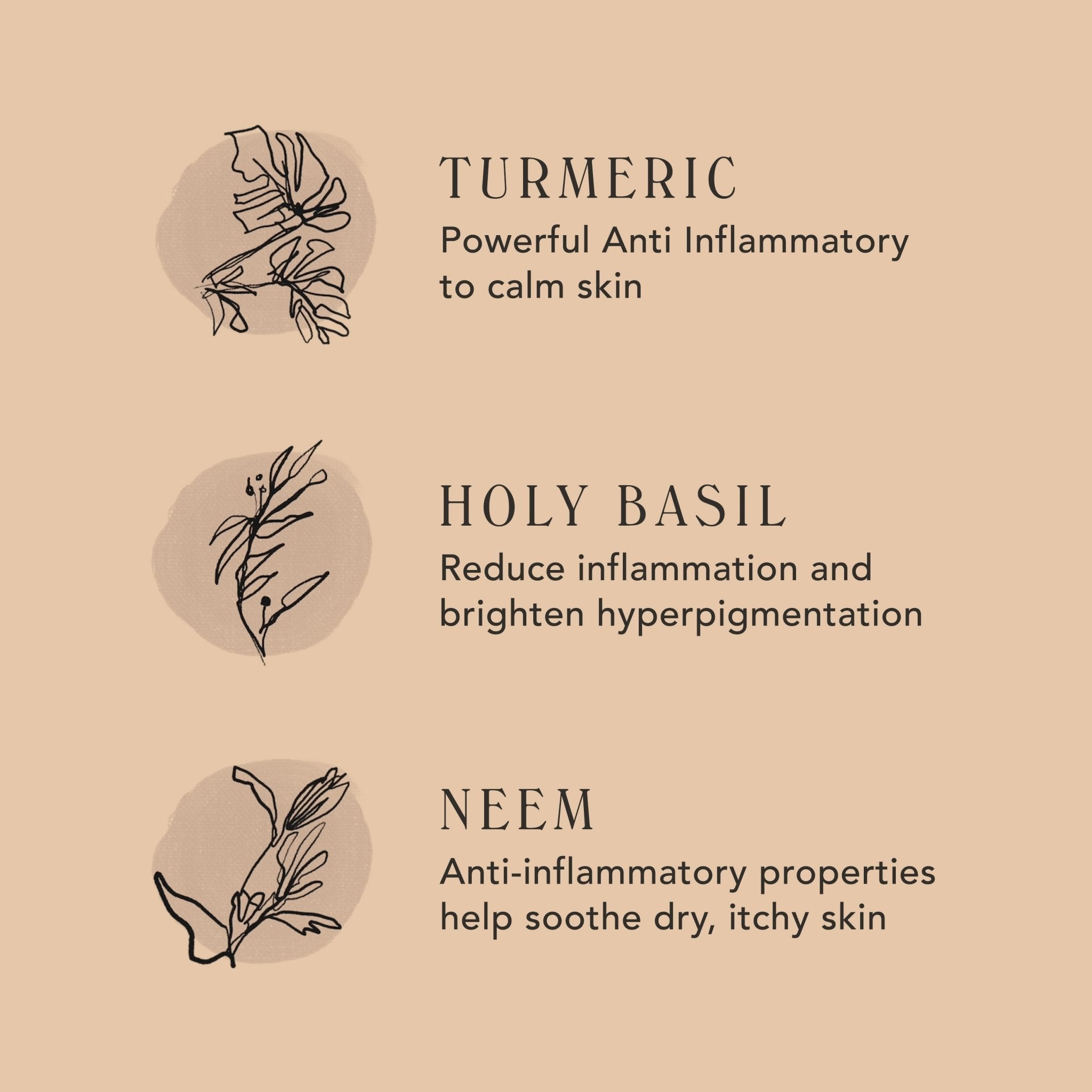 Beige infographic about M.S Skincare MANTRA Skin Perfecting Cleanser with botanical symbols and qualities of the ingredients.