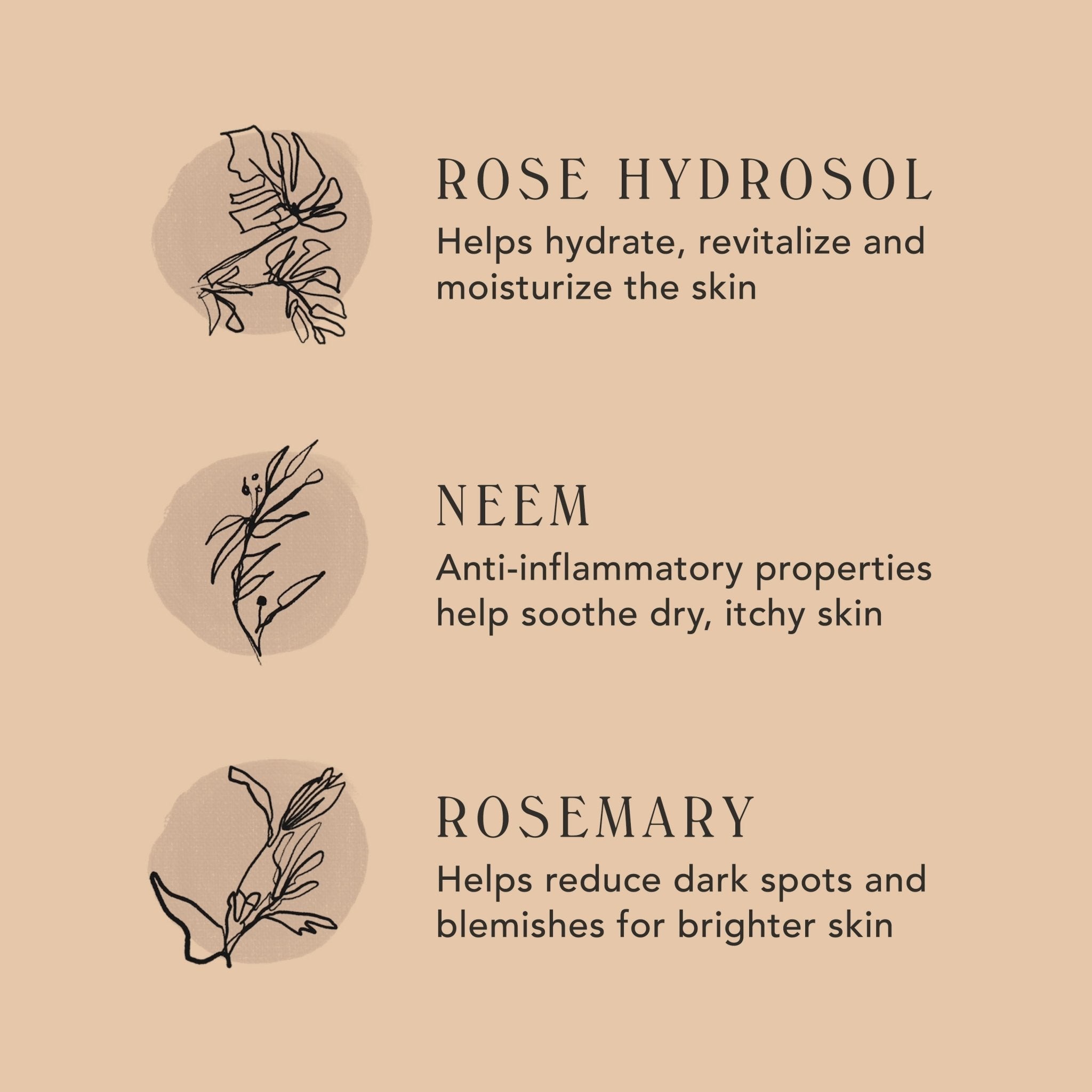 Beige background with botanical symbols talking about the benefits of M.S Skincare ROSEWATER CREAM Radiance Moisturizer.