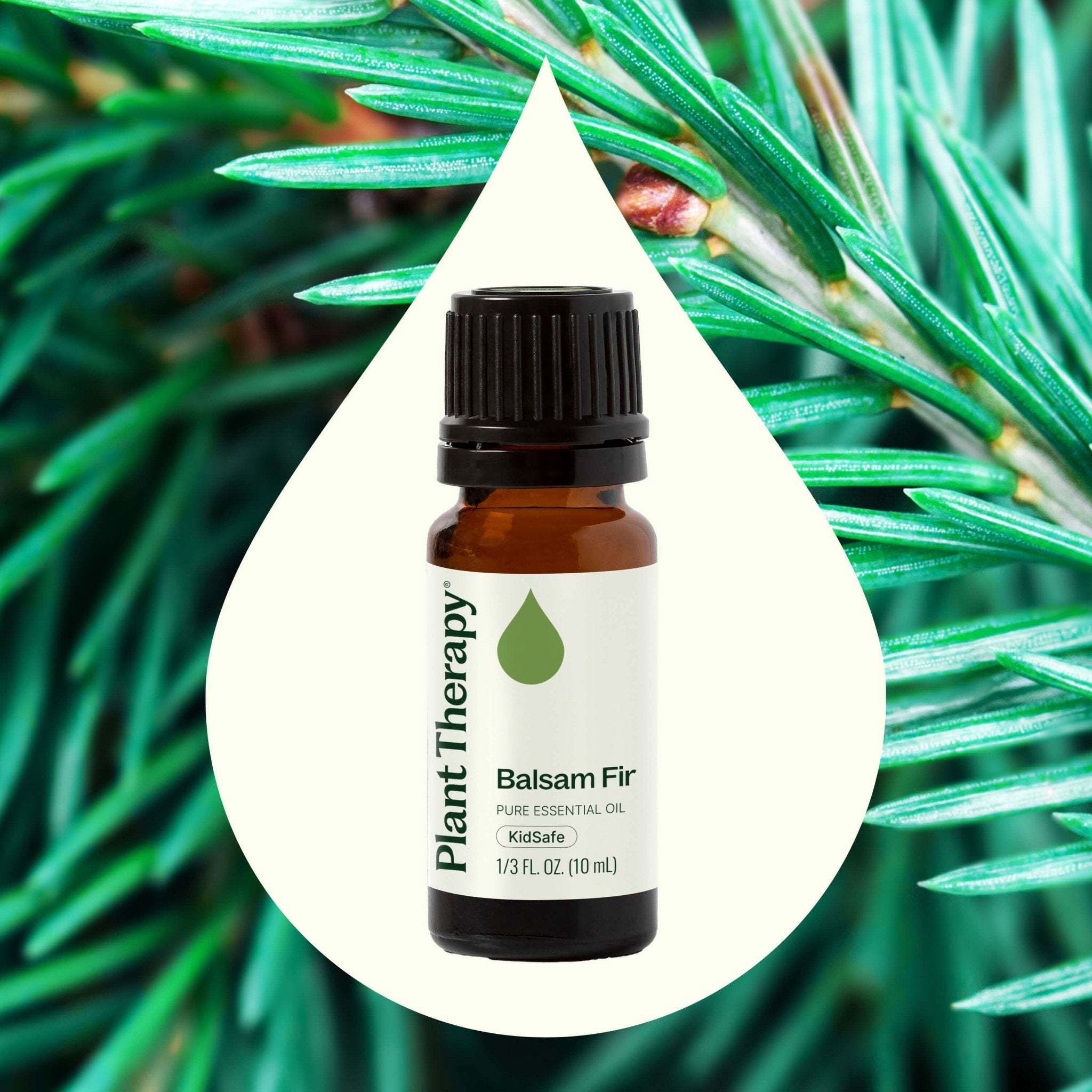 Plant Therapy Balsam Fir Essential Oil