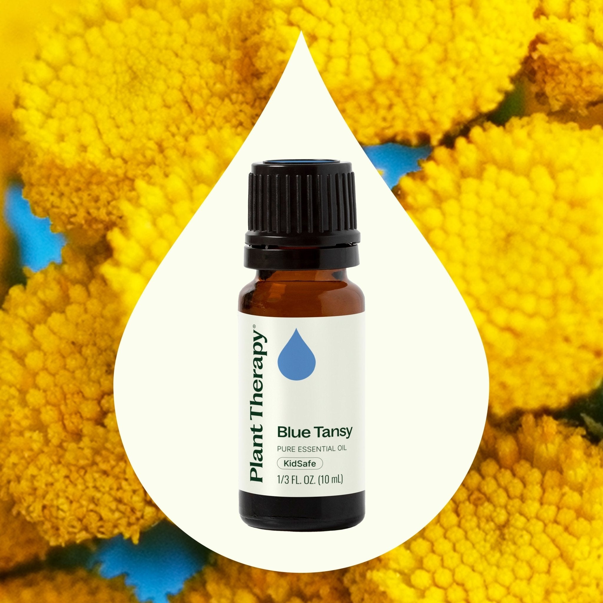 Plant Therapy Blue Tansy Essential Oil