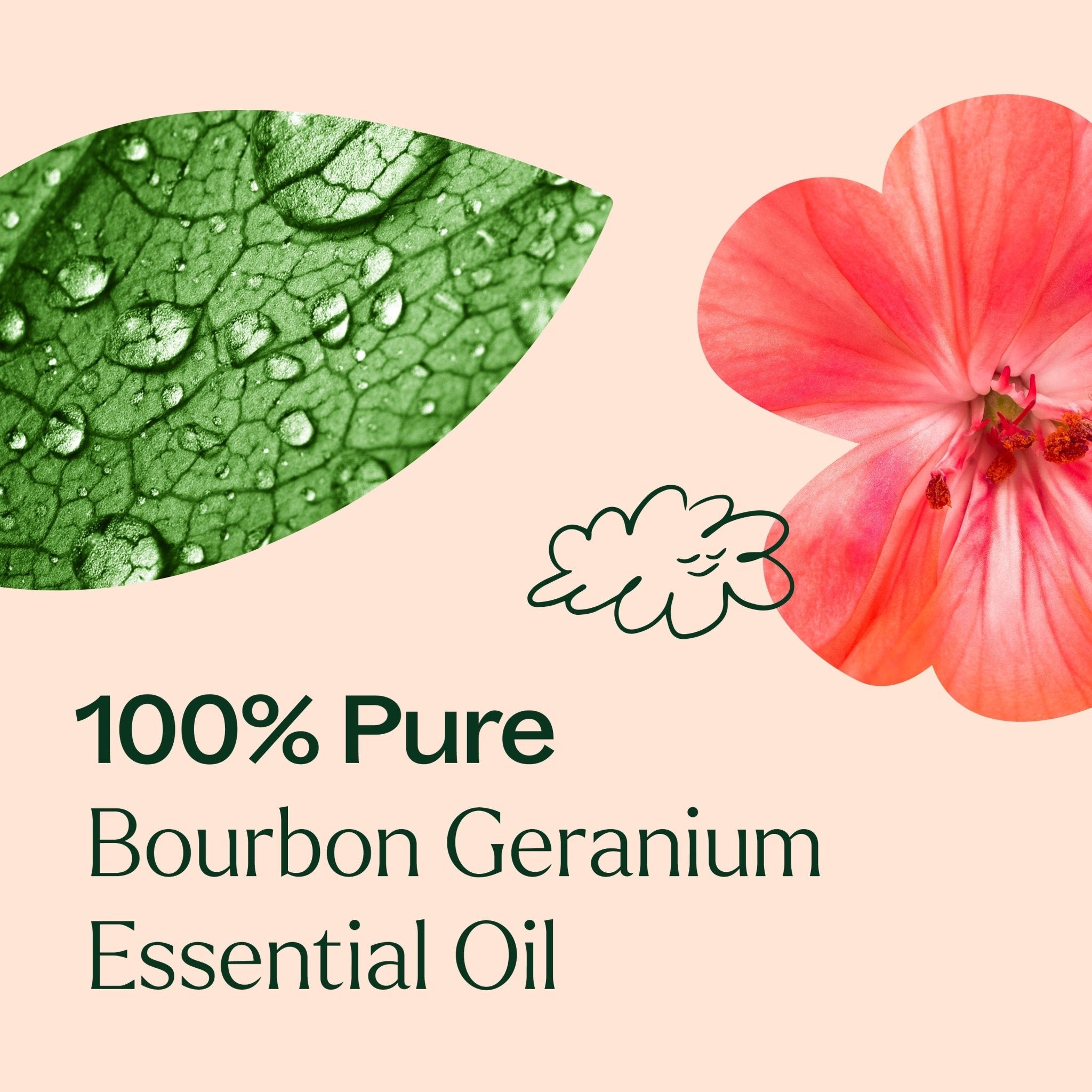 Plant Therapy Bourbon Geranium Essential Oil