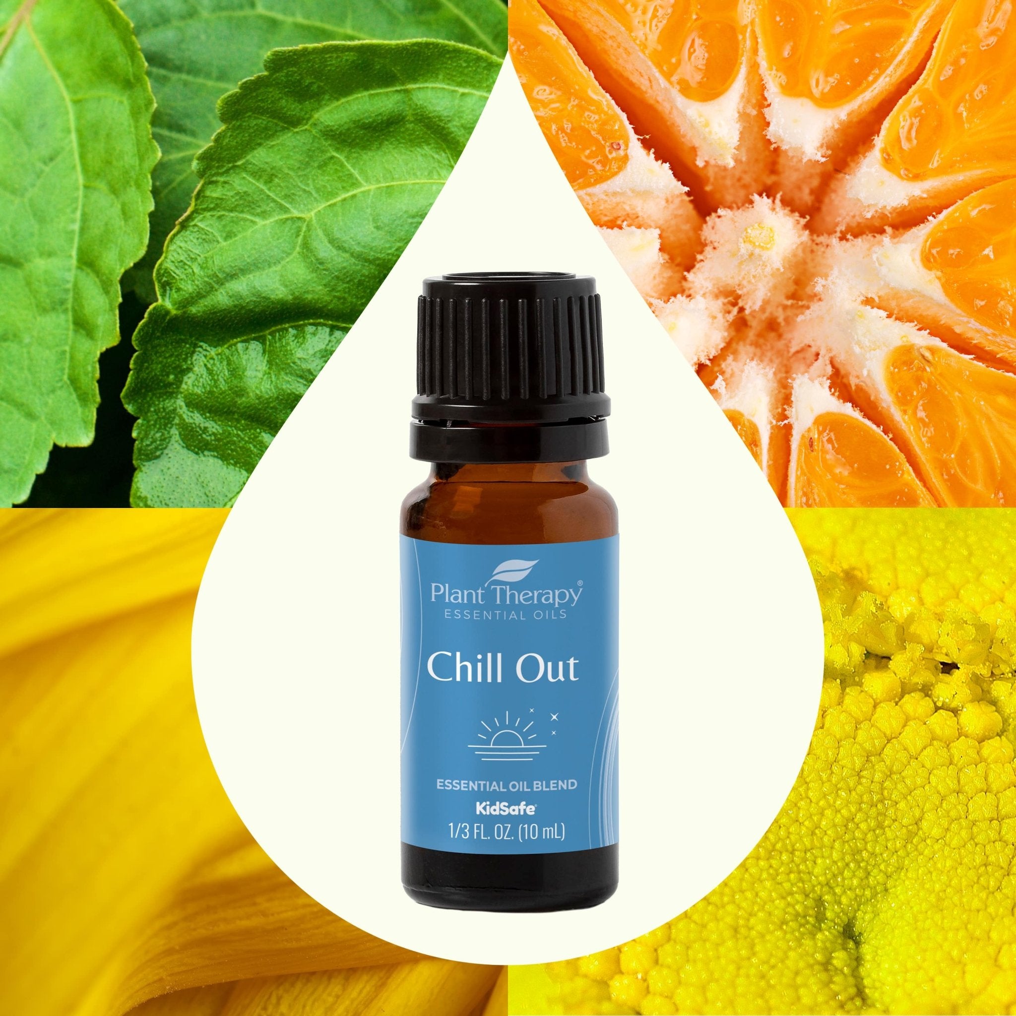 Plant TherapyChill Out Essential Oil Blend - M.S Skincare