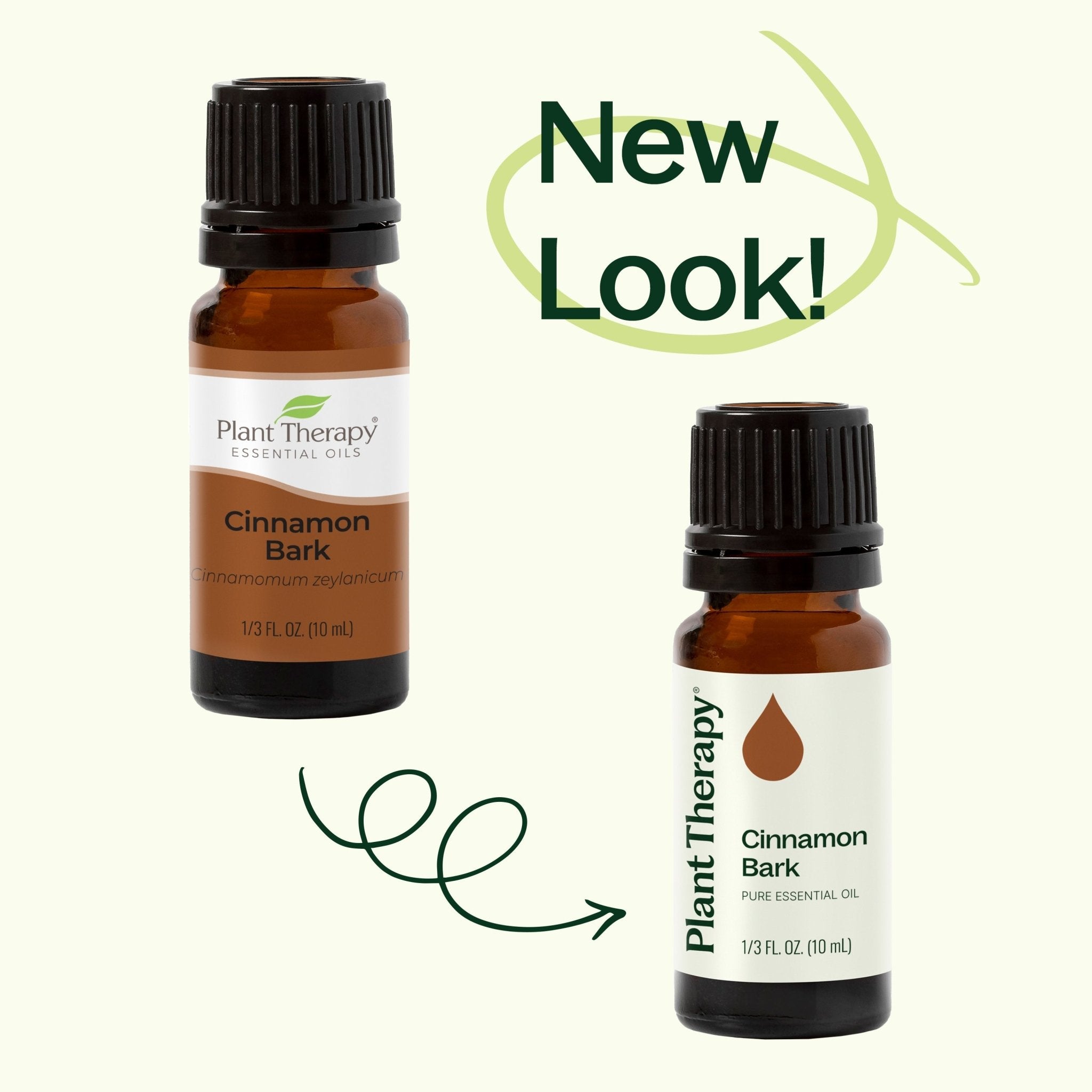 Plant Therapy Cinnamon Bark Essential Oil