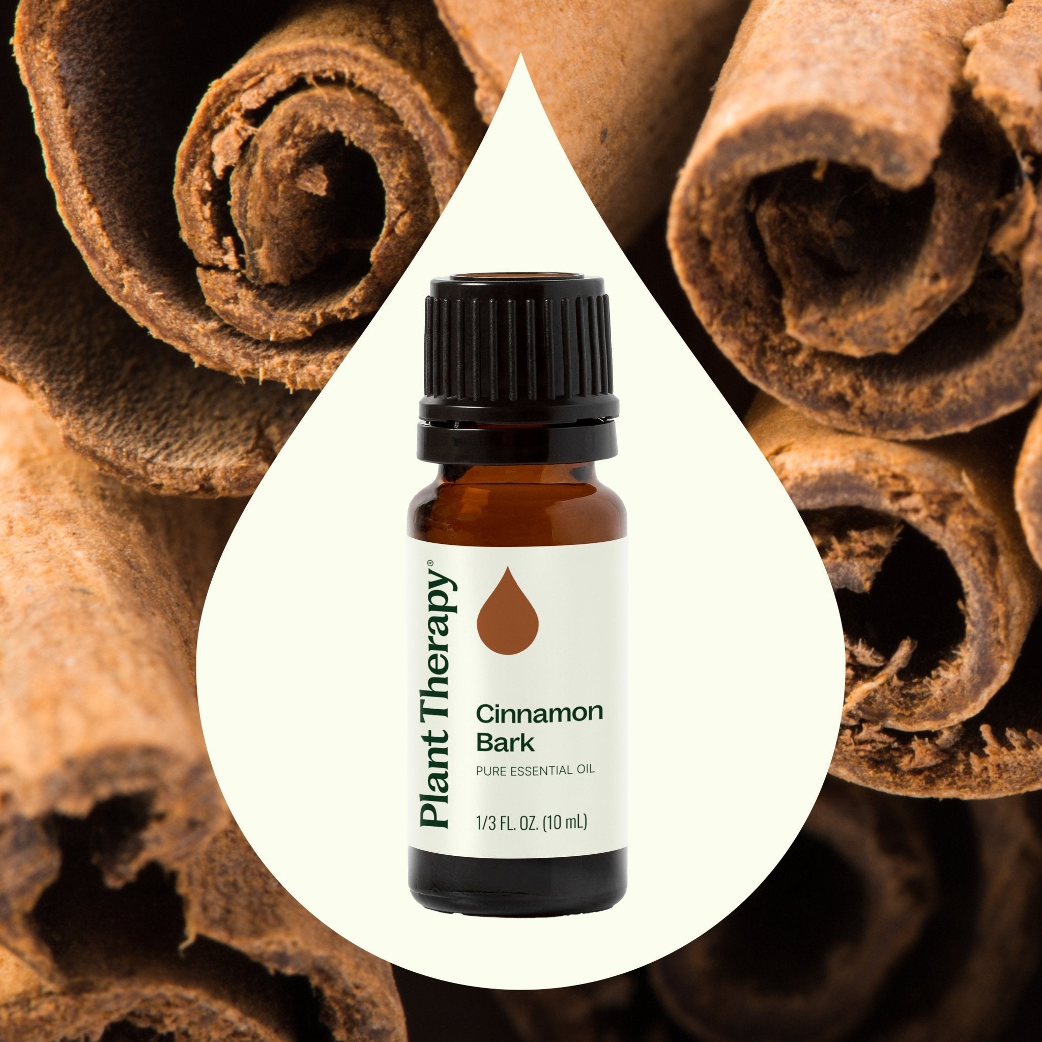 Plant Therapy Cinnamon Bark Essential Oil