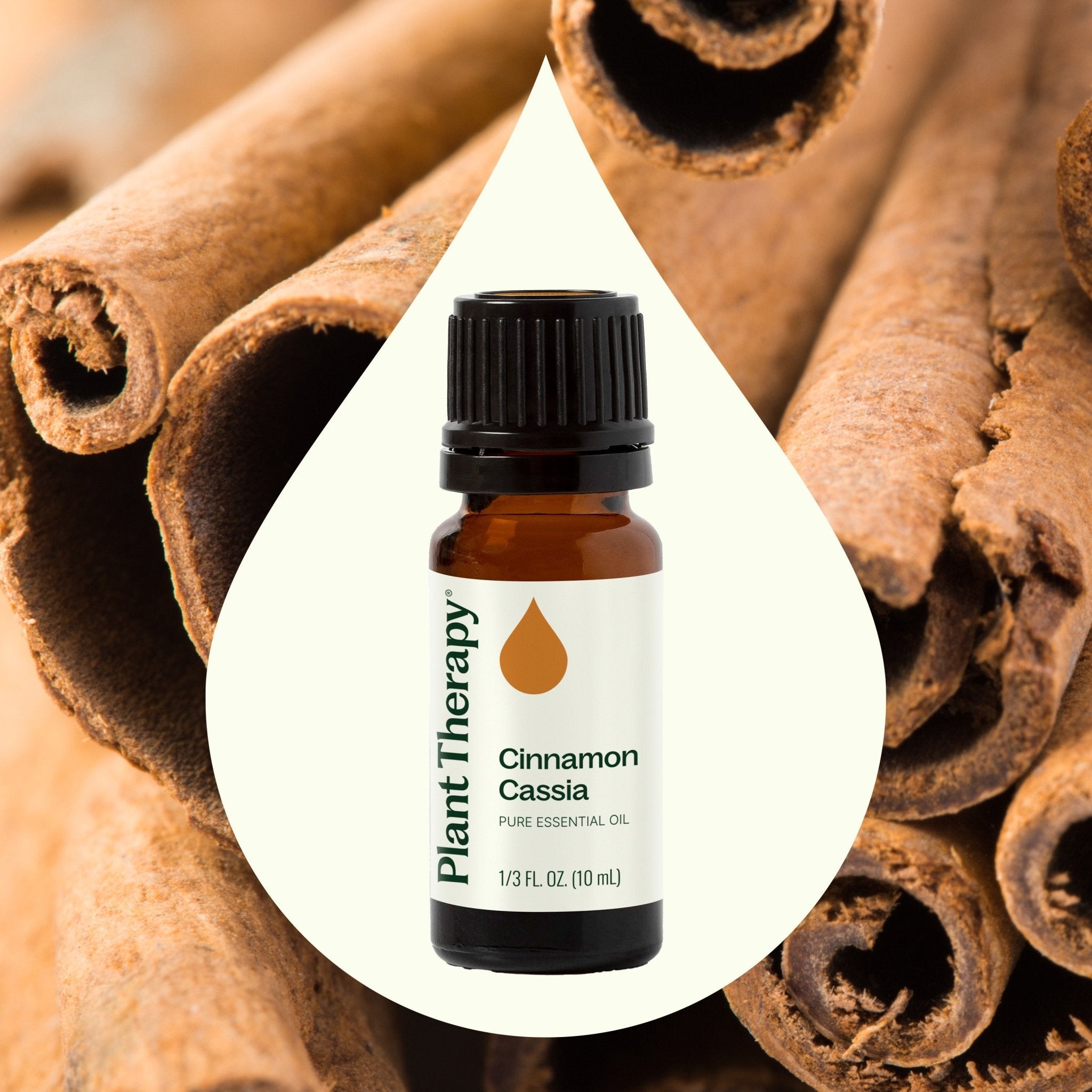 Plant Therapy Cinnamon Cassia Essential Oil