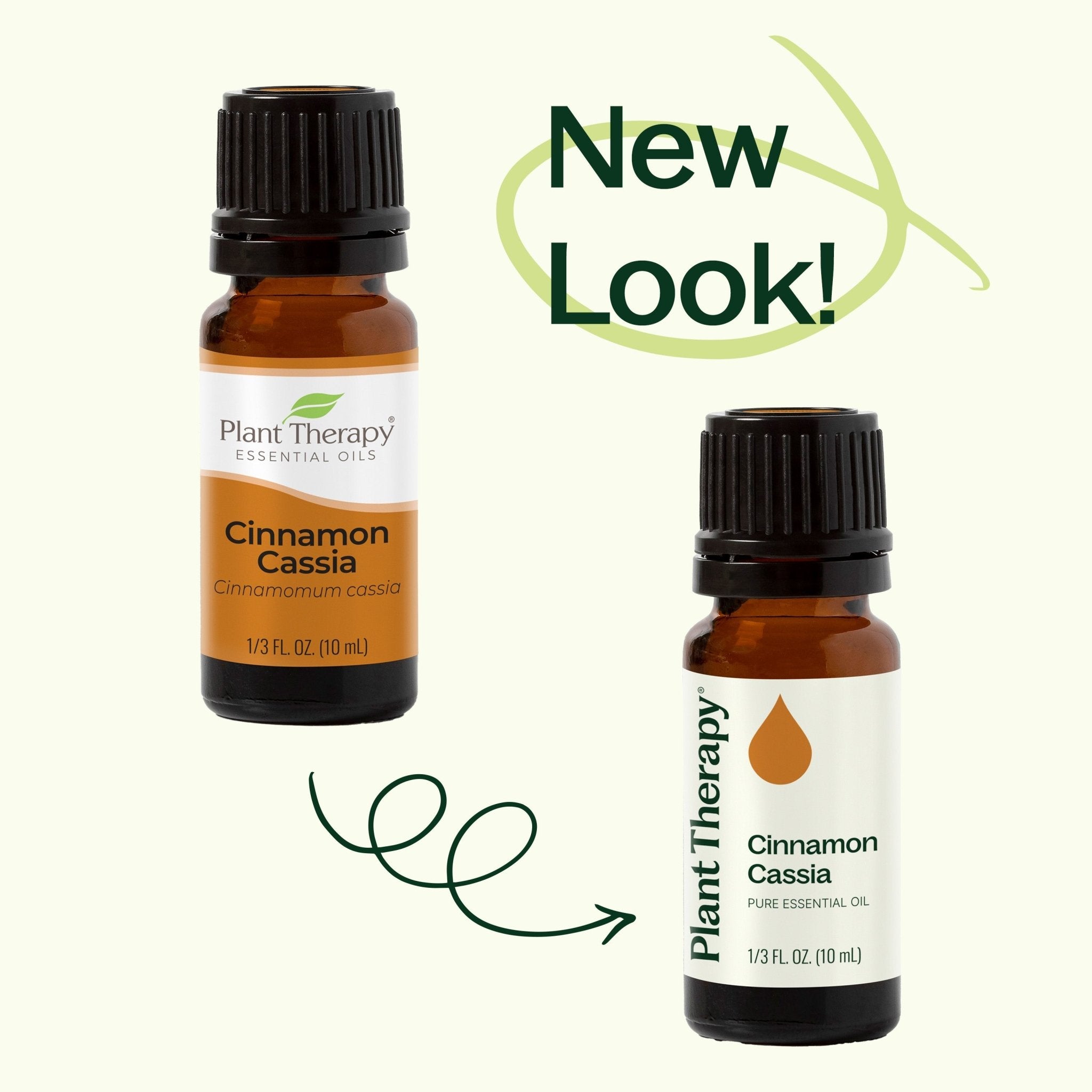 Plant Therapy Cinnamon Cassia Essential Oil