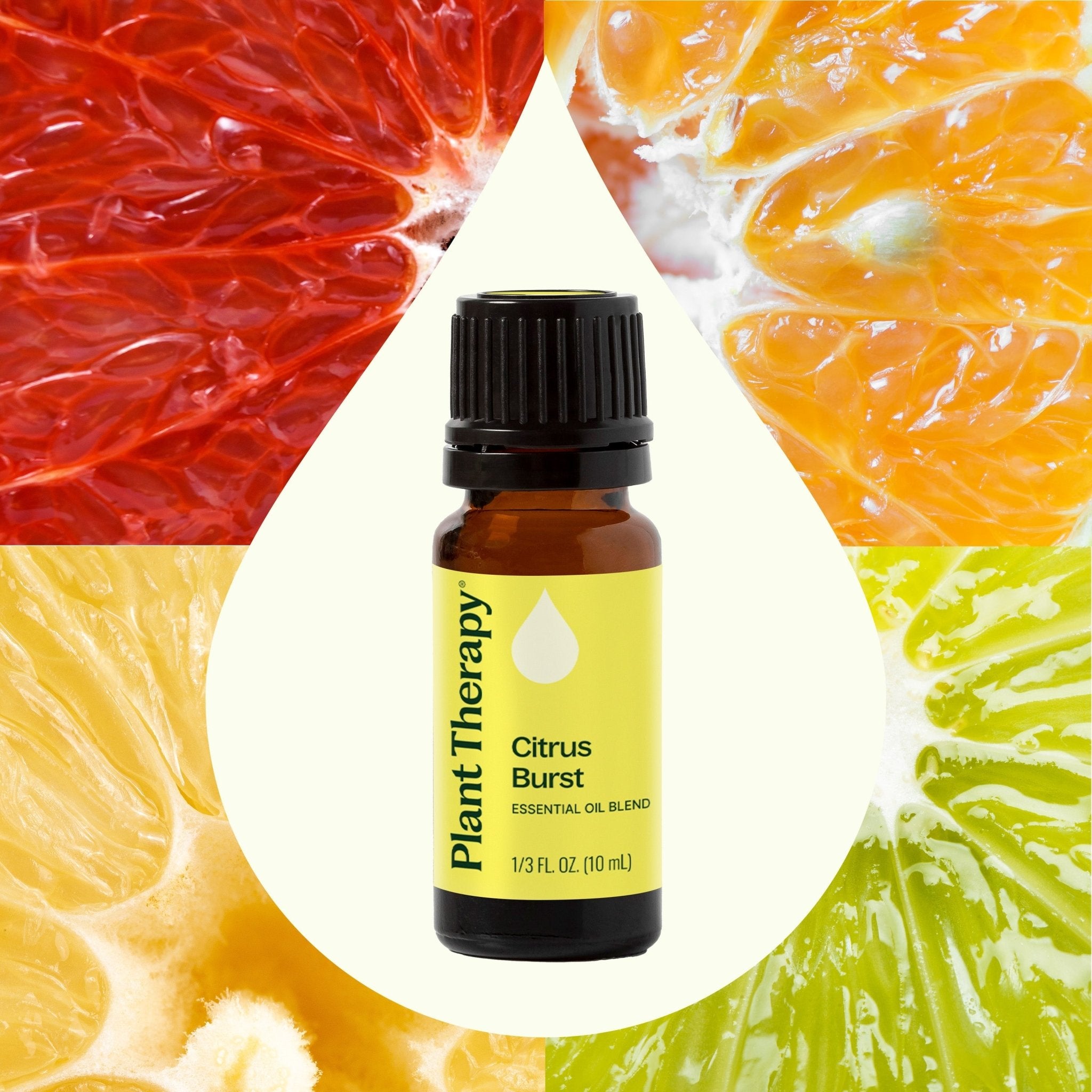 Plant Therapy Citrus Burst Essential Oil Blend