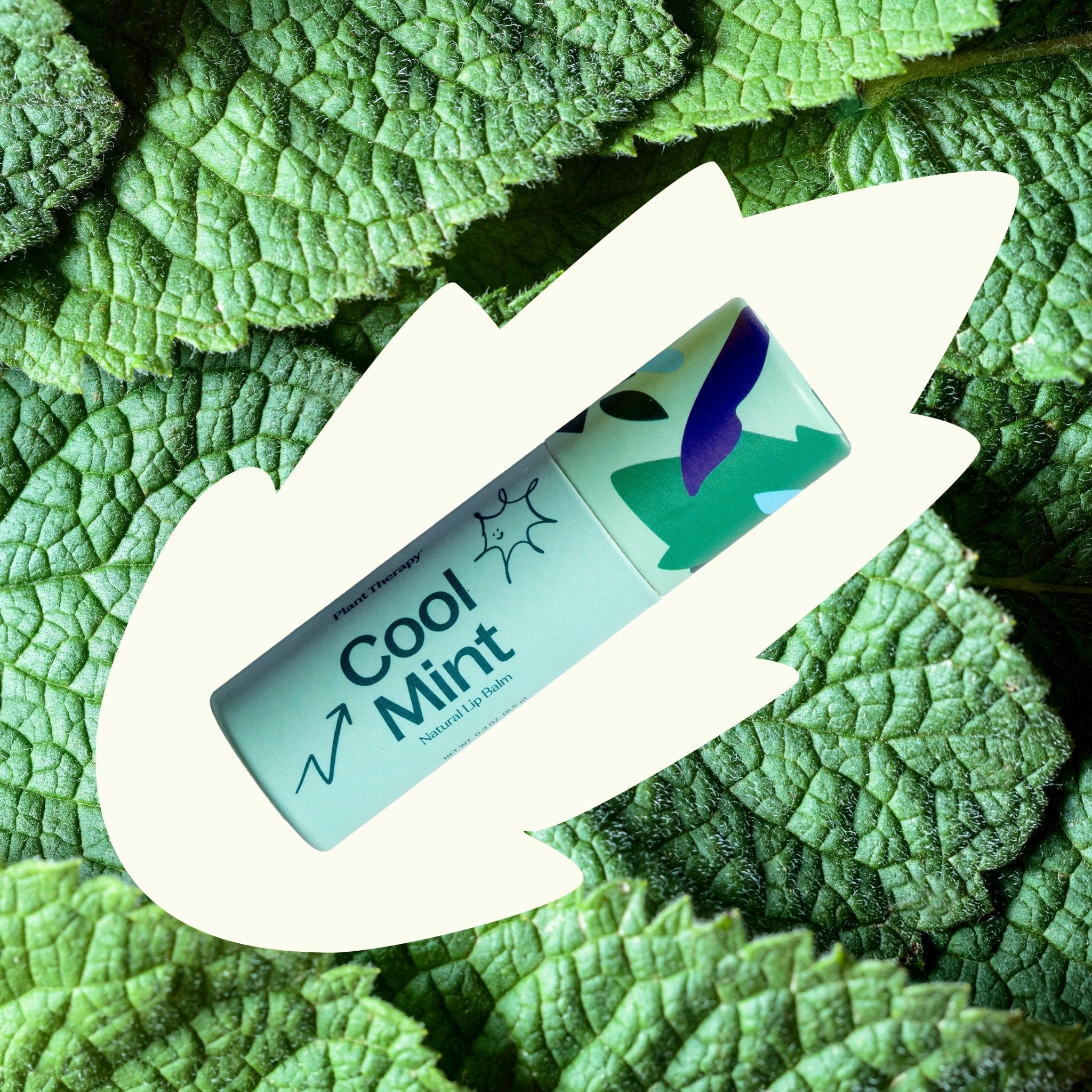 Plant Therapy Cool Mint Natural Lip Balm