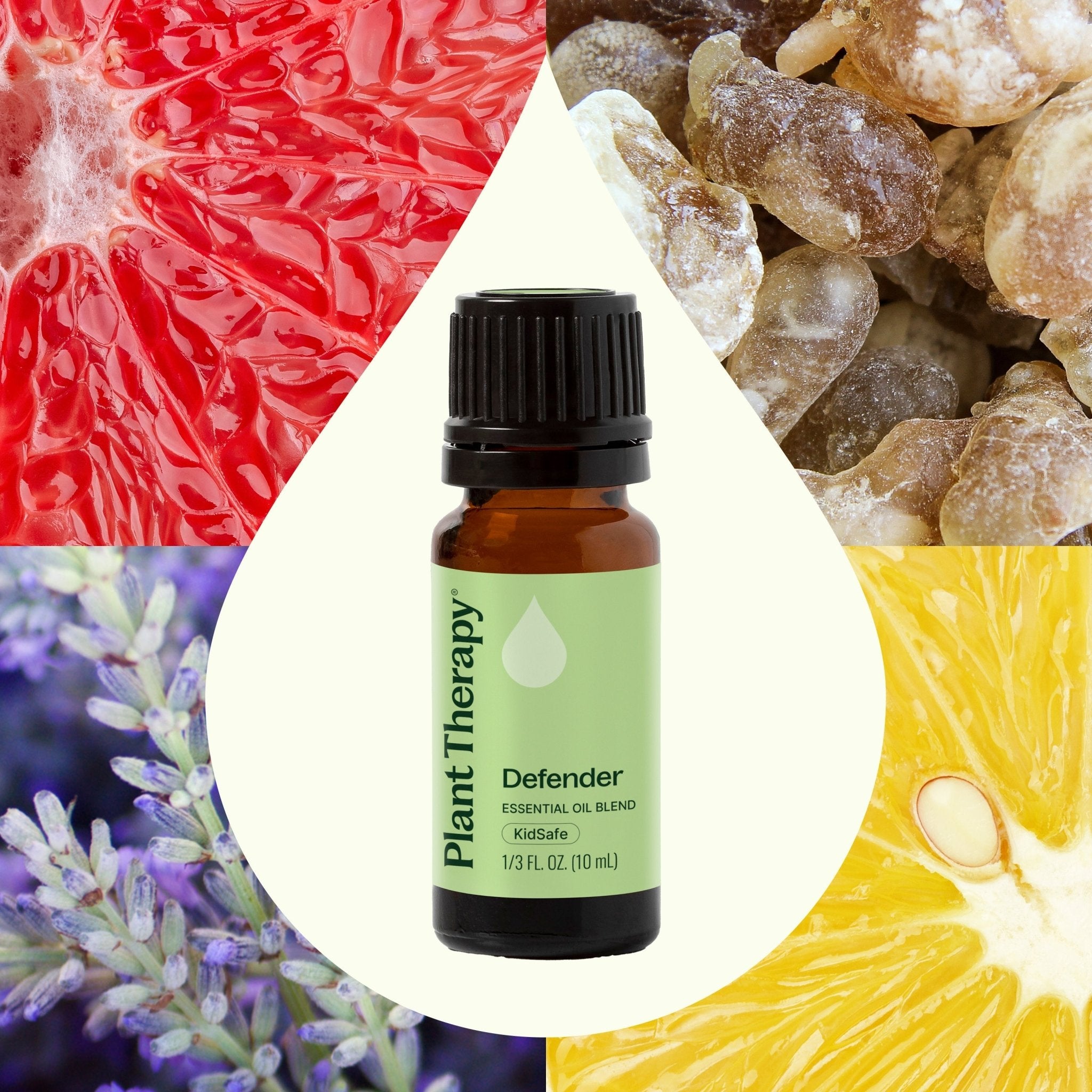 Plant Therapy Defender™ Essential Oil Blend