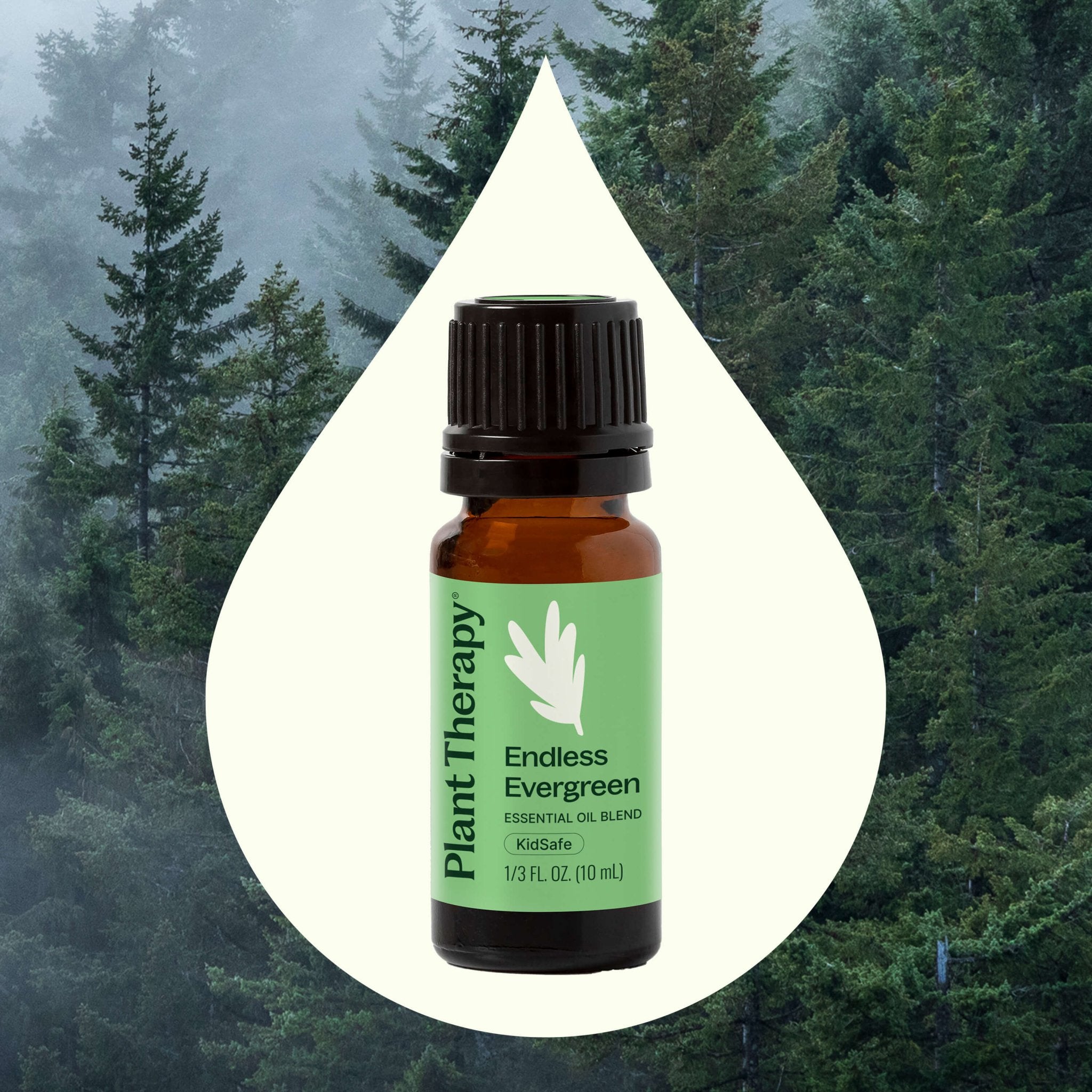 Plant Therapy Endless Evergreen Essential Oil Blend