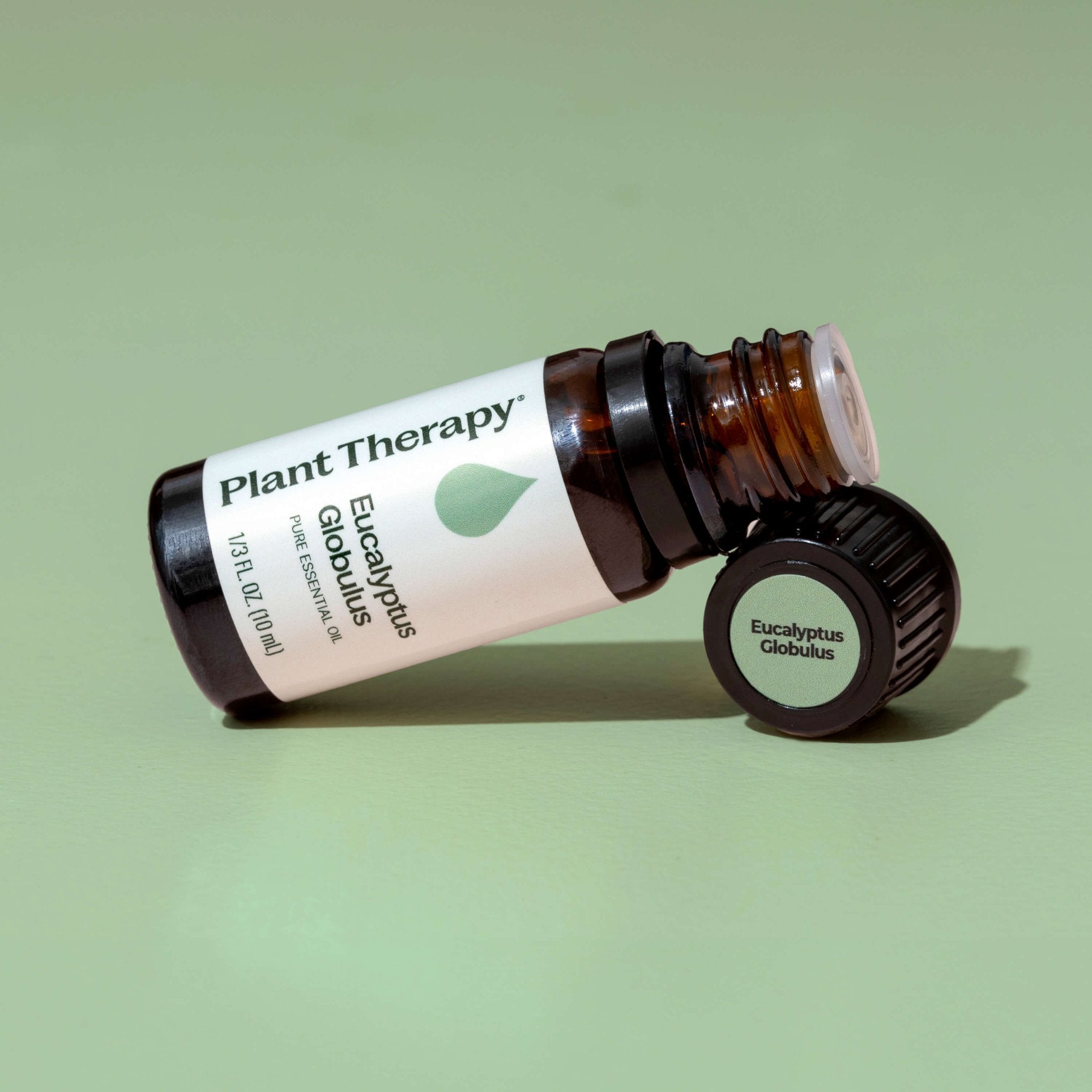 Plant Therapy Eucalyptus Globulus Essential Oil