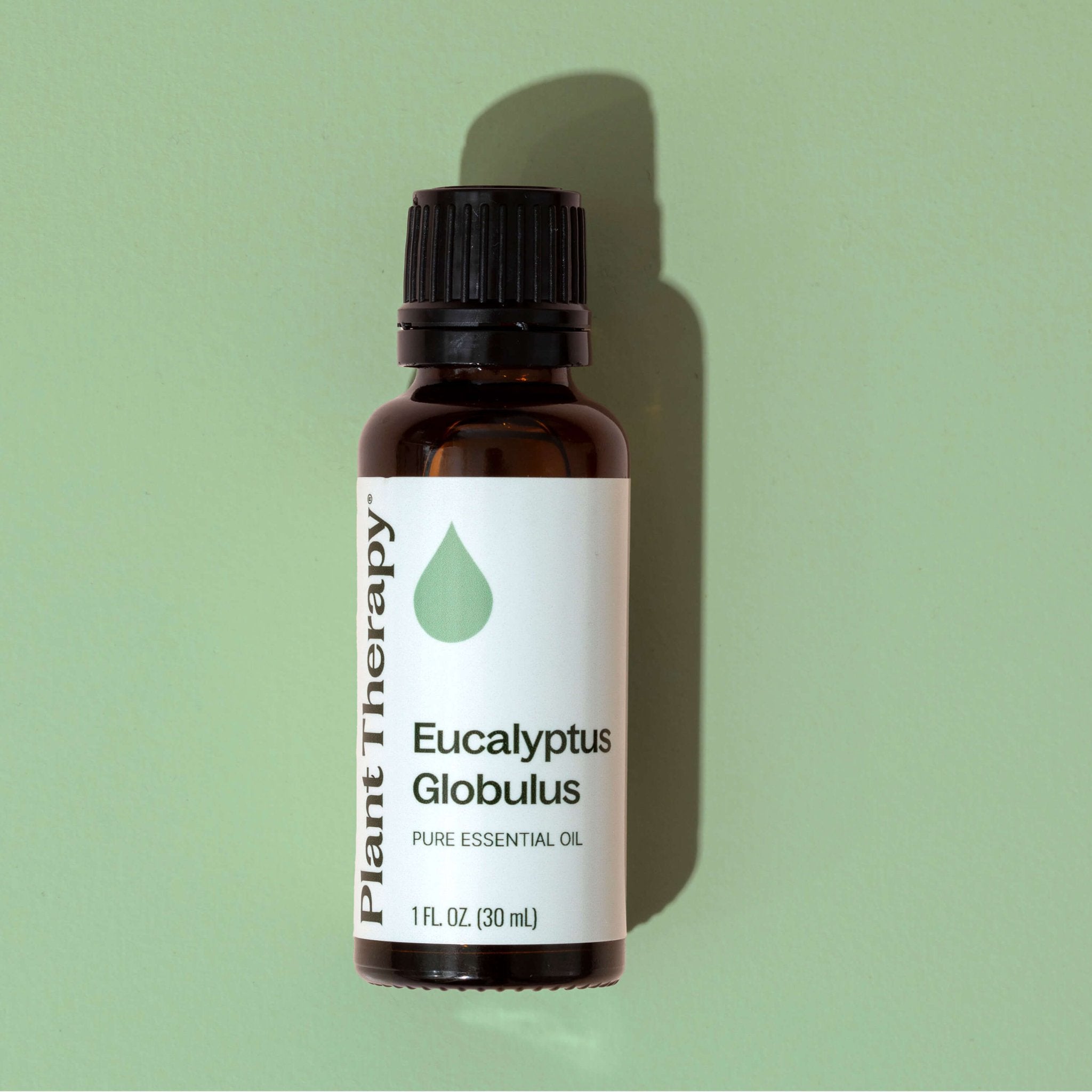 Plant Therapy Eucalyptus Globulus Essential Oil