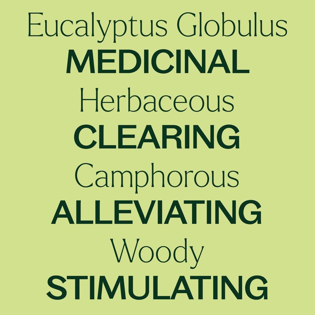 Plant TherapyEucalyptus Globulus Essential Oil Pre - Diluted Roll - On - M.S Skincare