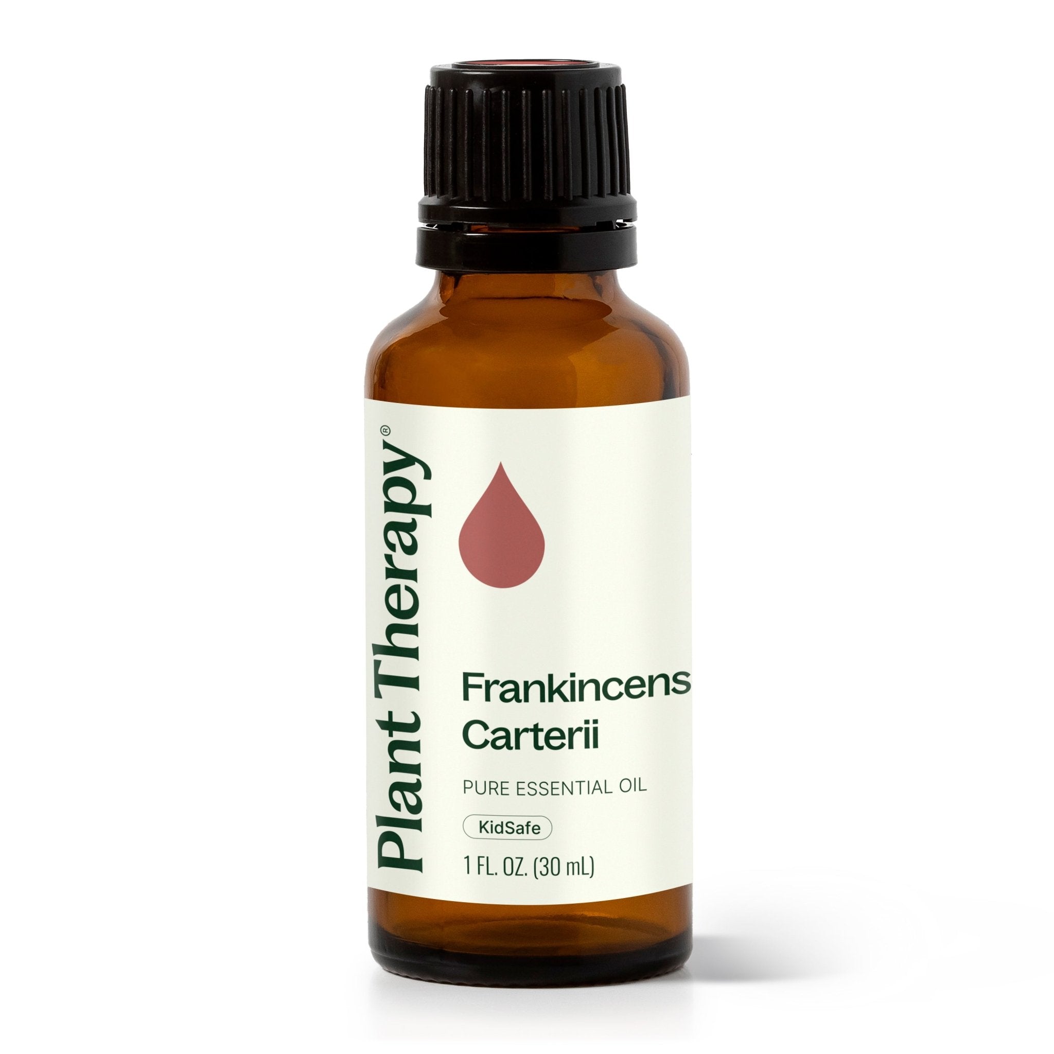 Plant Therapy Frankincense Carterii Essential Oil