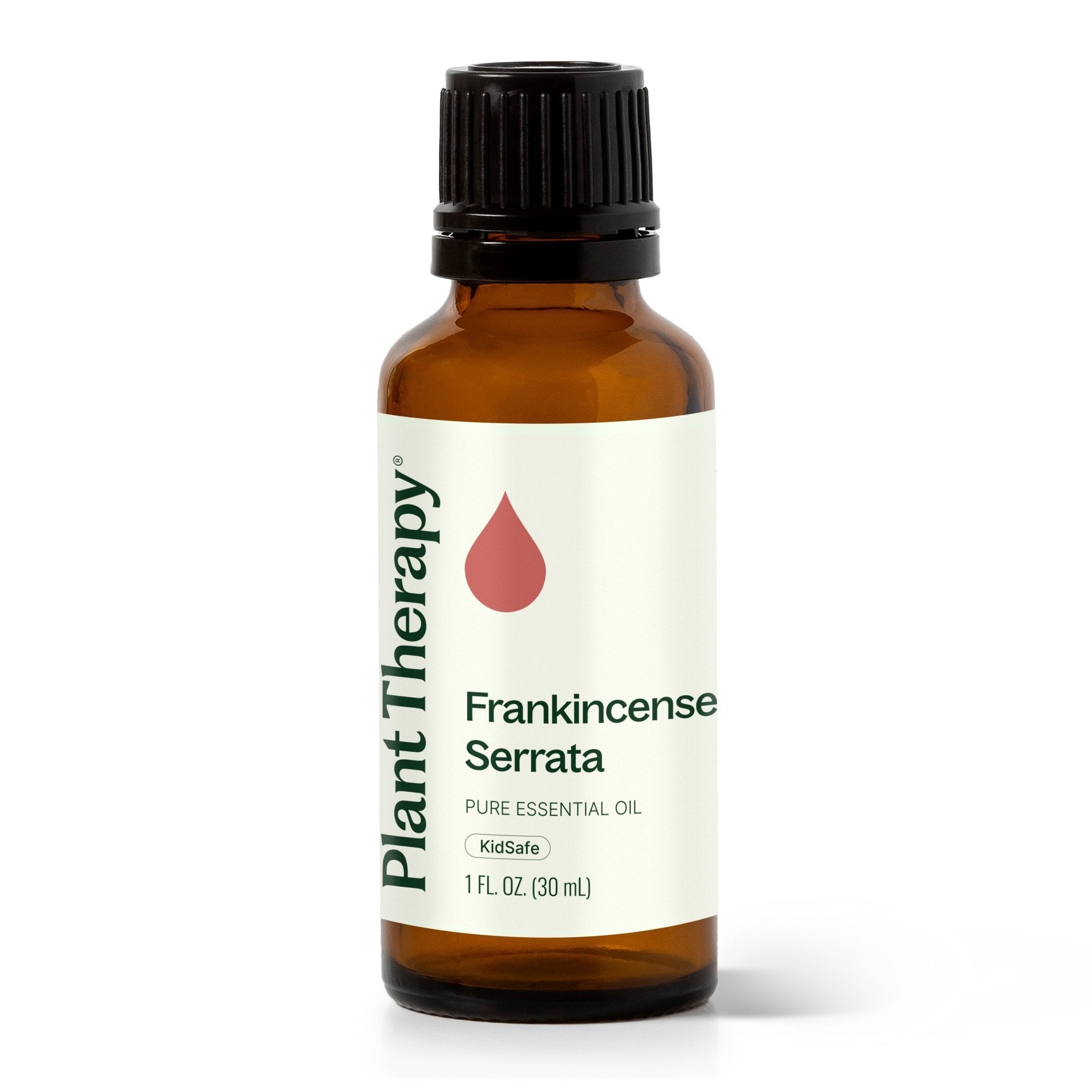 Plant Therapy Frankincense Serrata Essential Oil