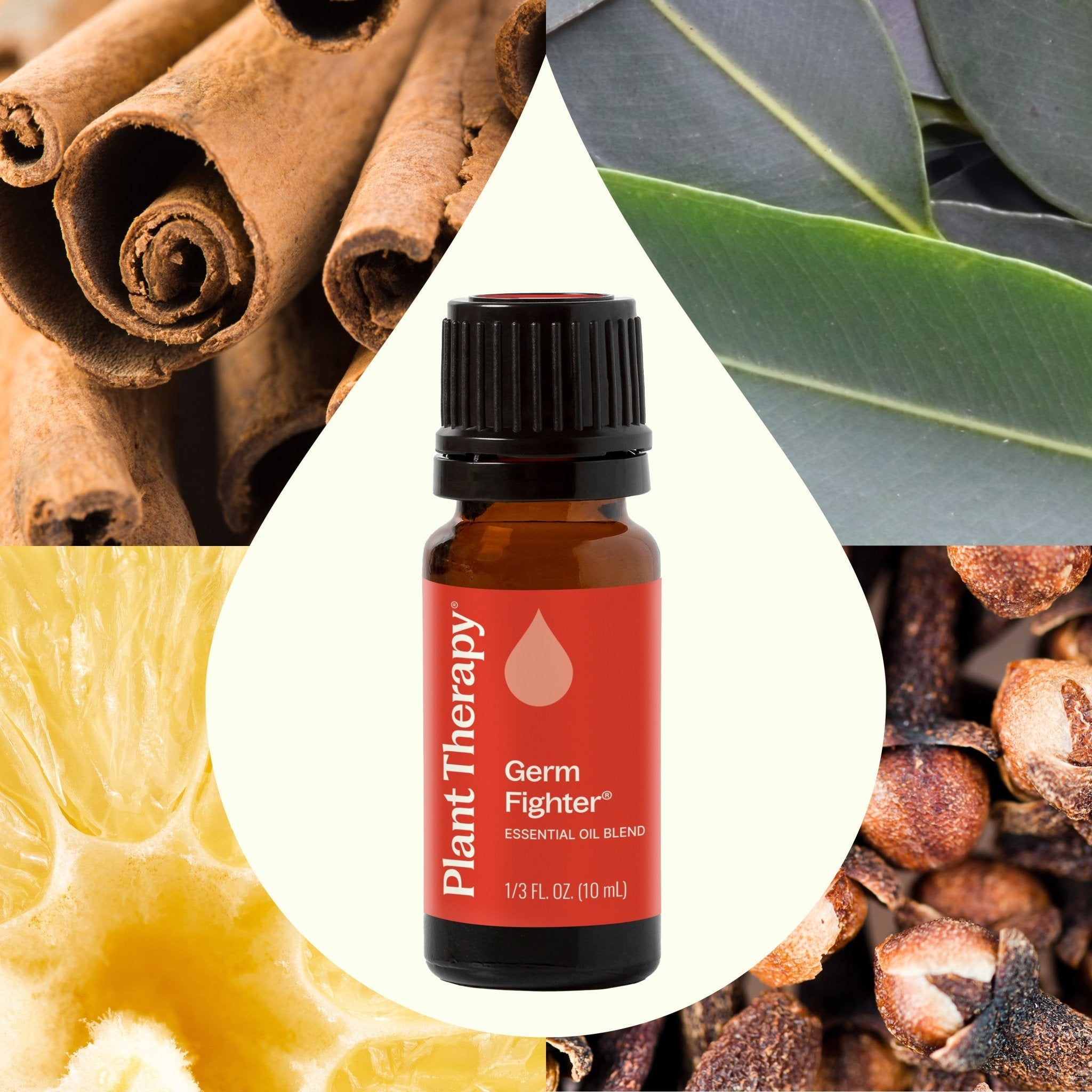 Plant Therapy Germ Fighter Essential Oil Blend