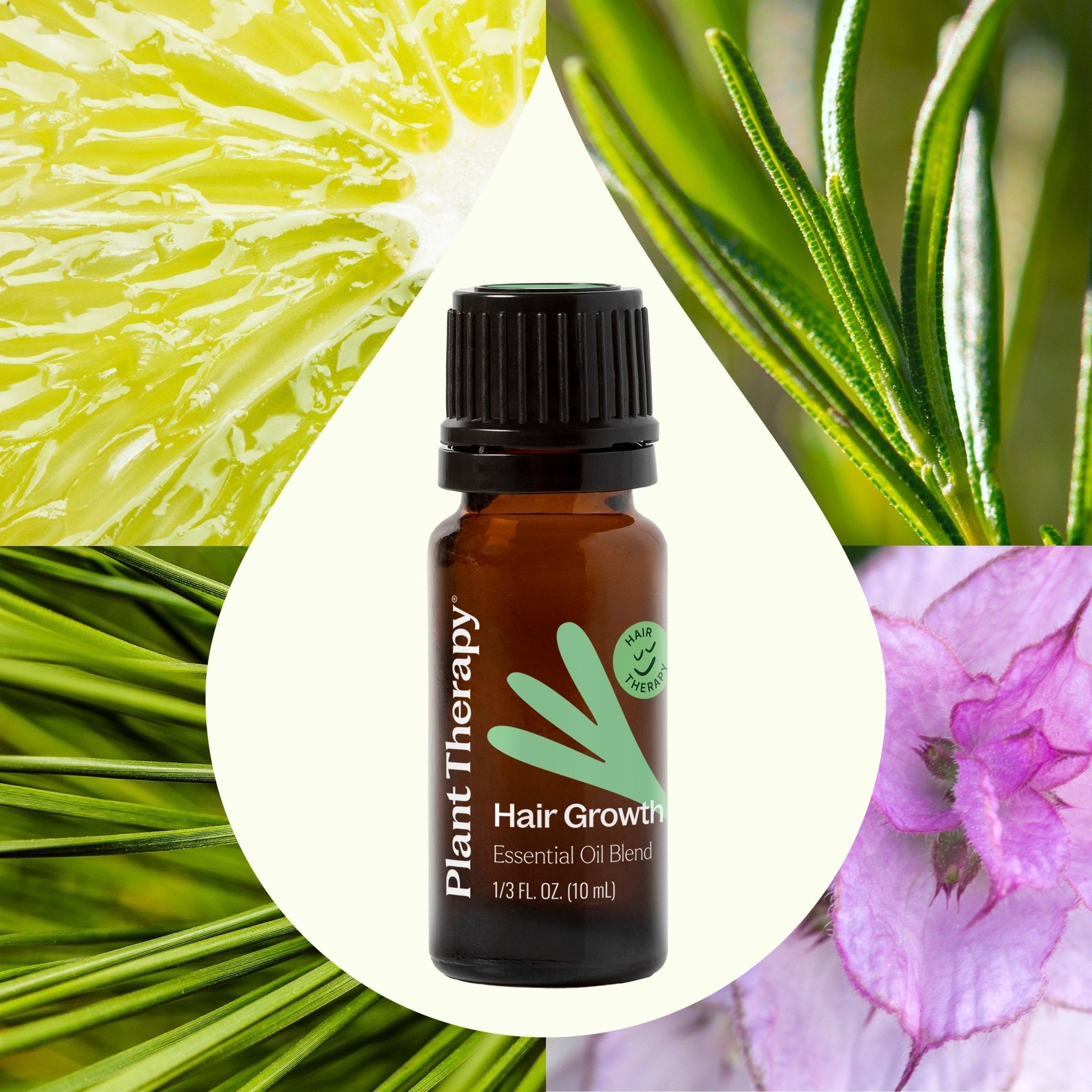 Plant Therapy Hair Therapy Essential Oil Blend