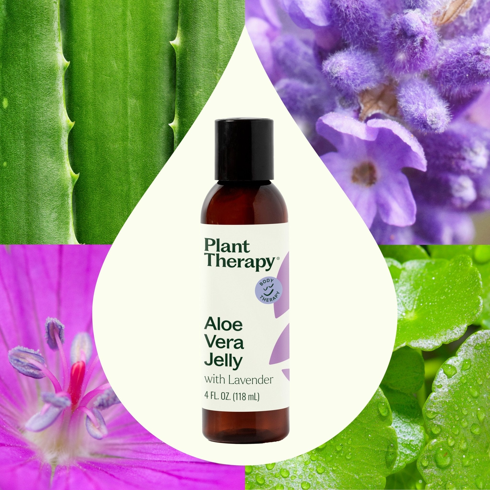 Plant Therapy Lavender Aloe Vera Jelly