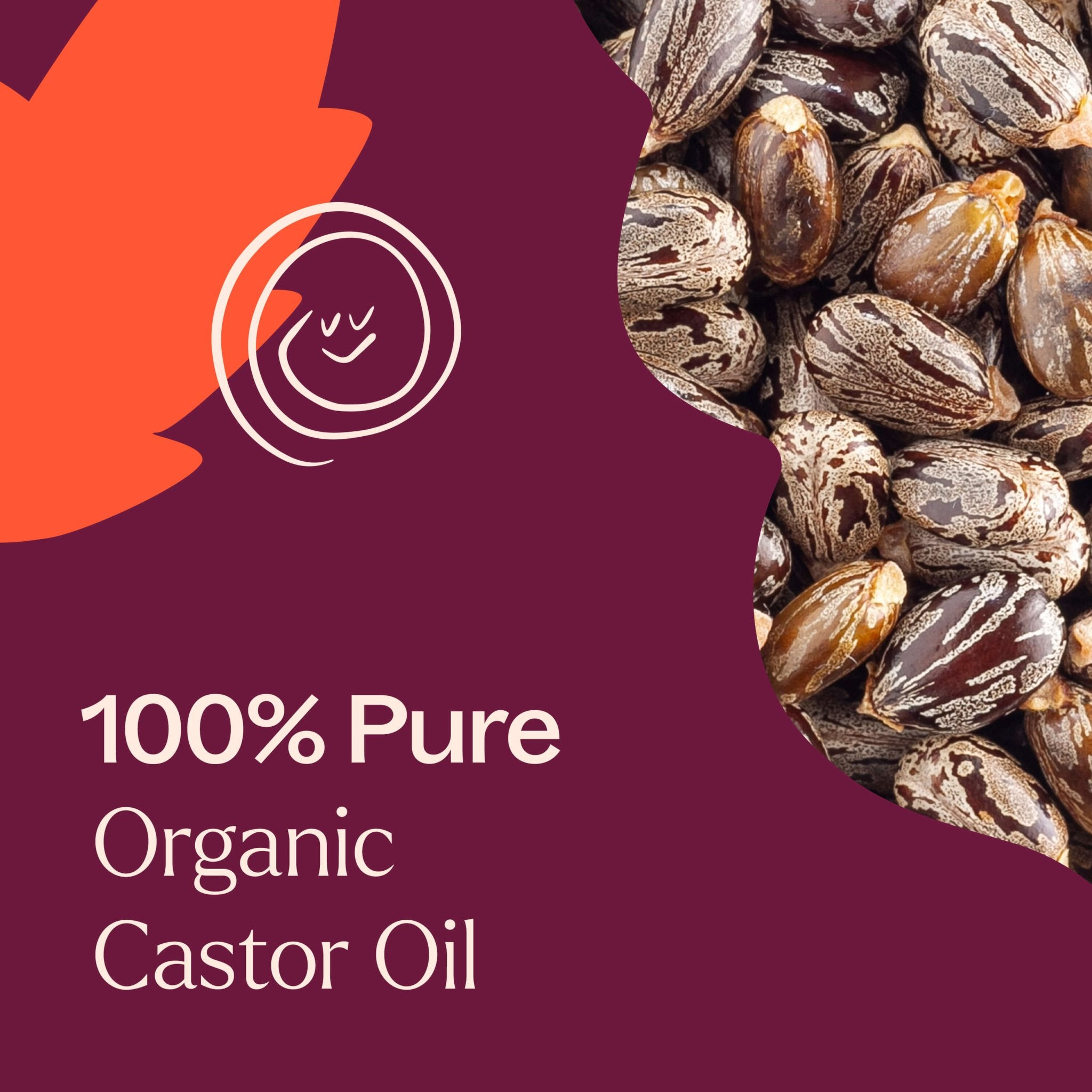 Plant Therapy Organic Castor Carrier Oil