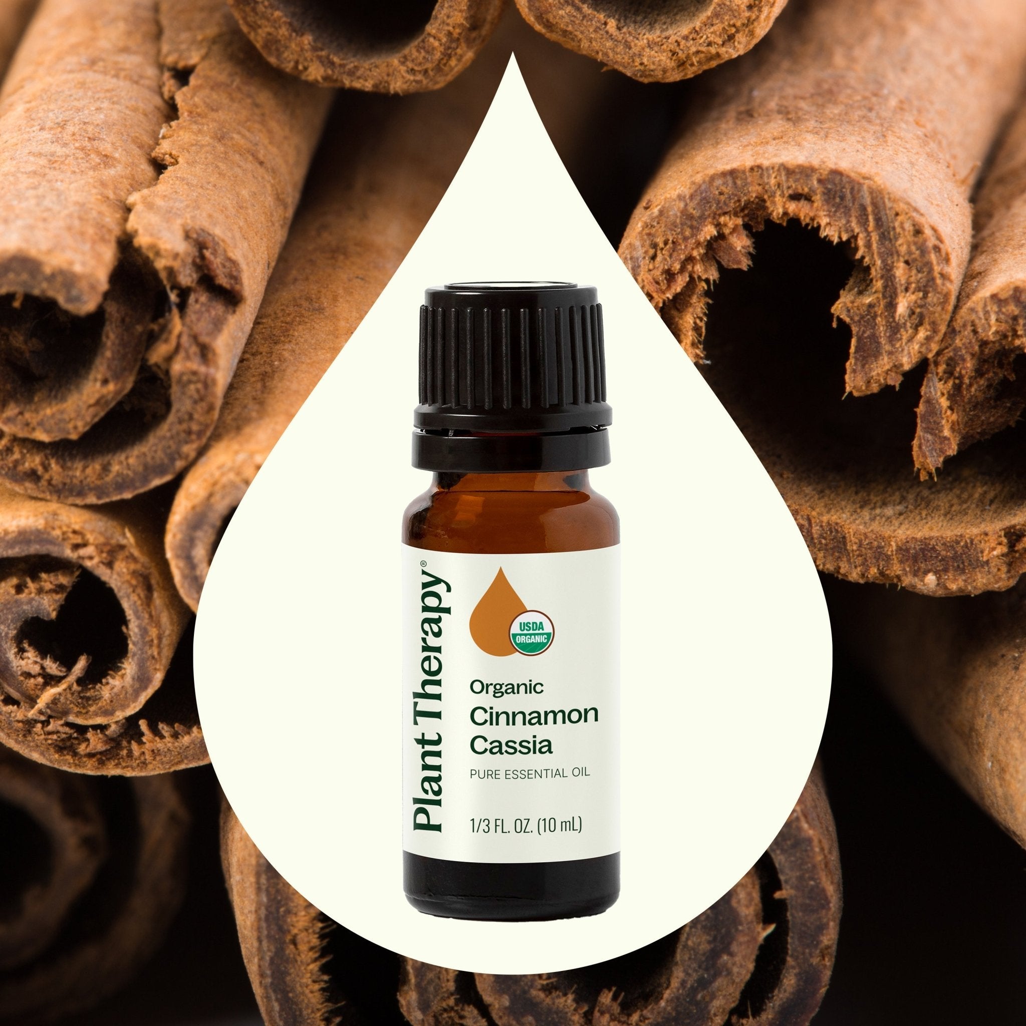 Plant Therapy Organic Cinnamon Cassia Essential Oil