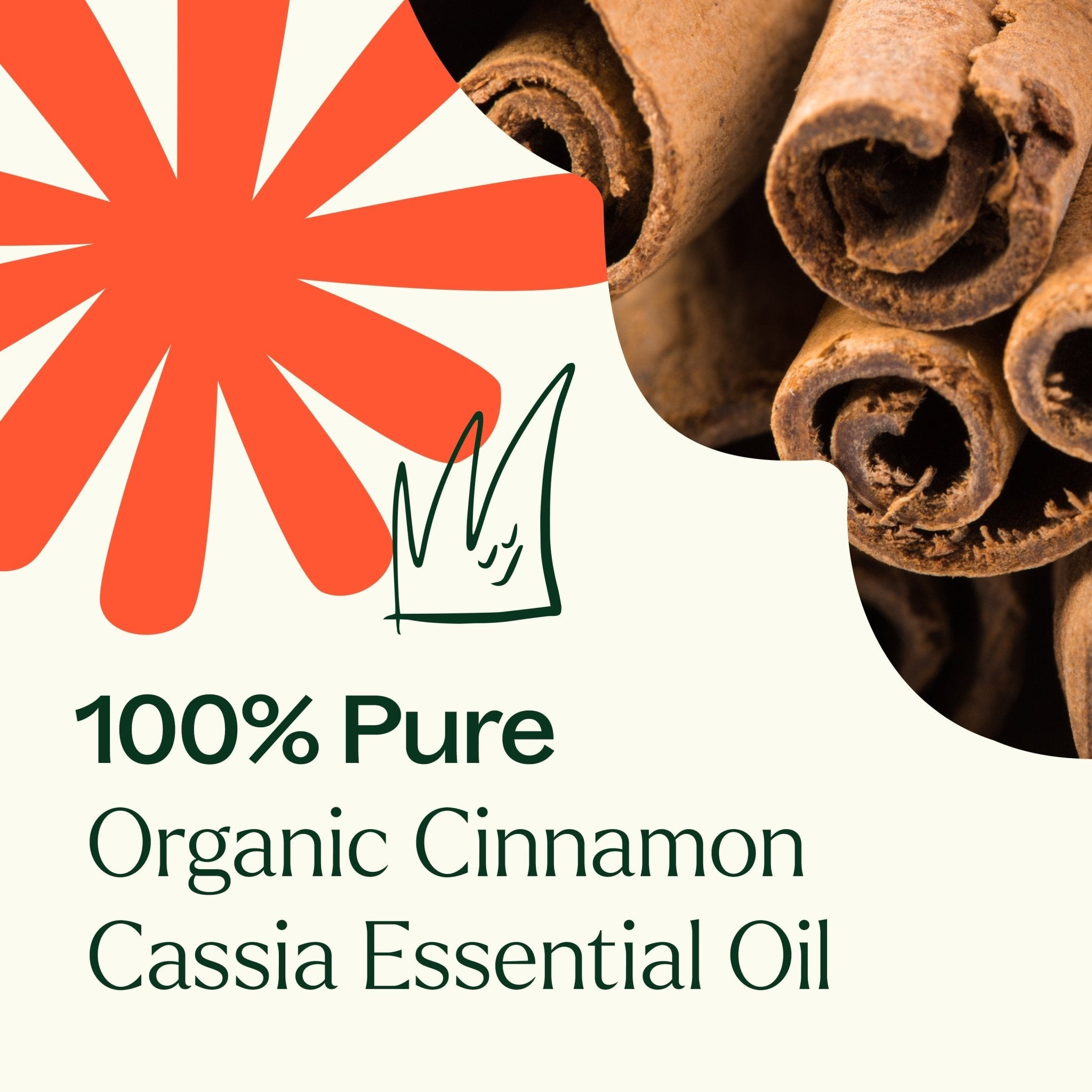 Plant Therapy Organic Cinnamon Cassia Essential Oil