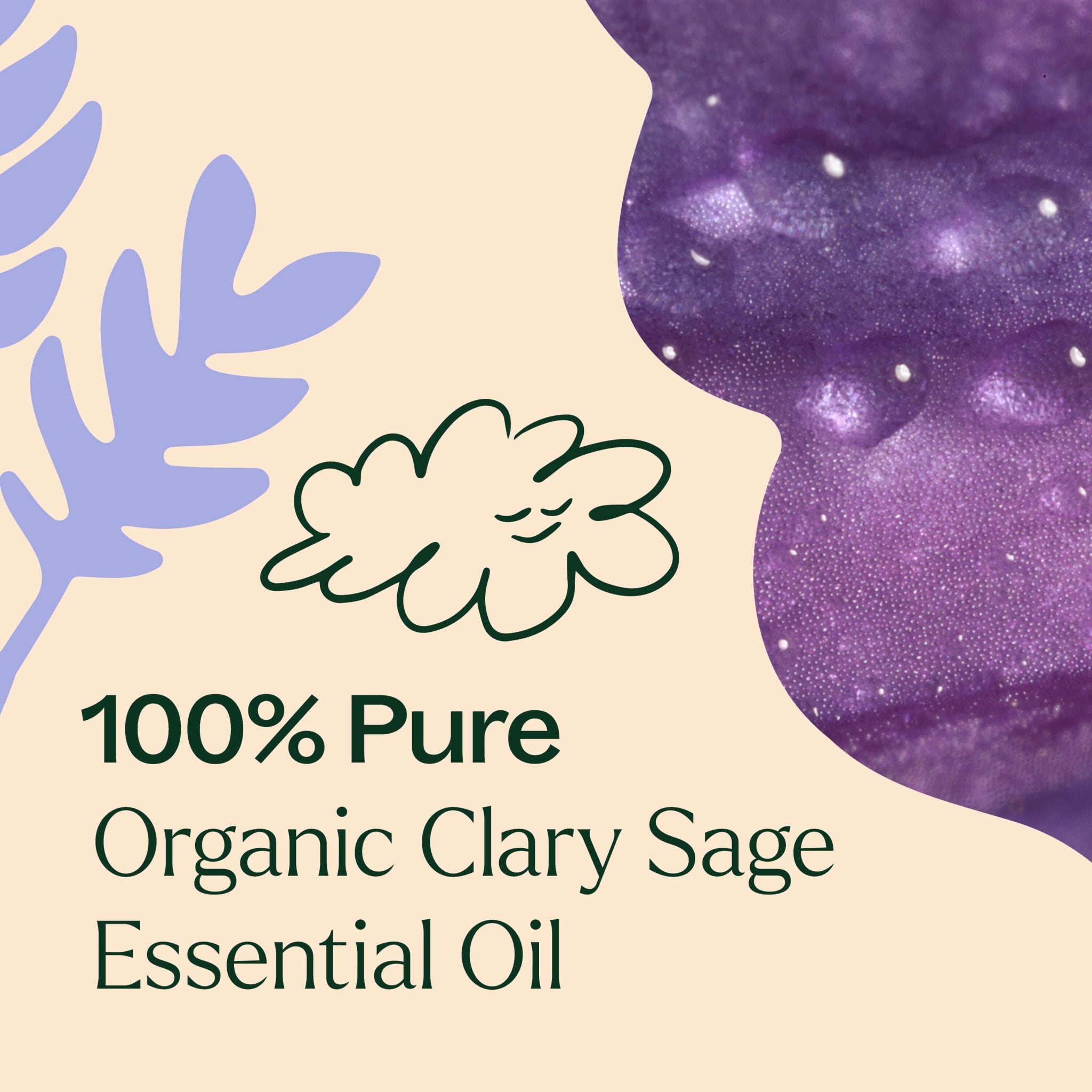 Plant Therapy Organic Clary Sage Essential Oil