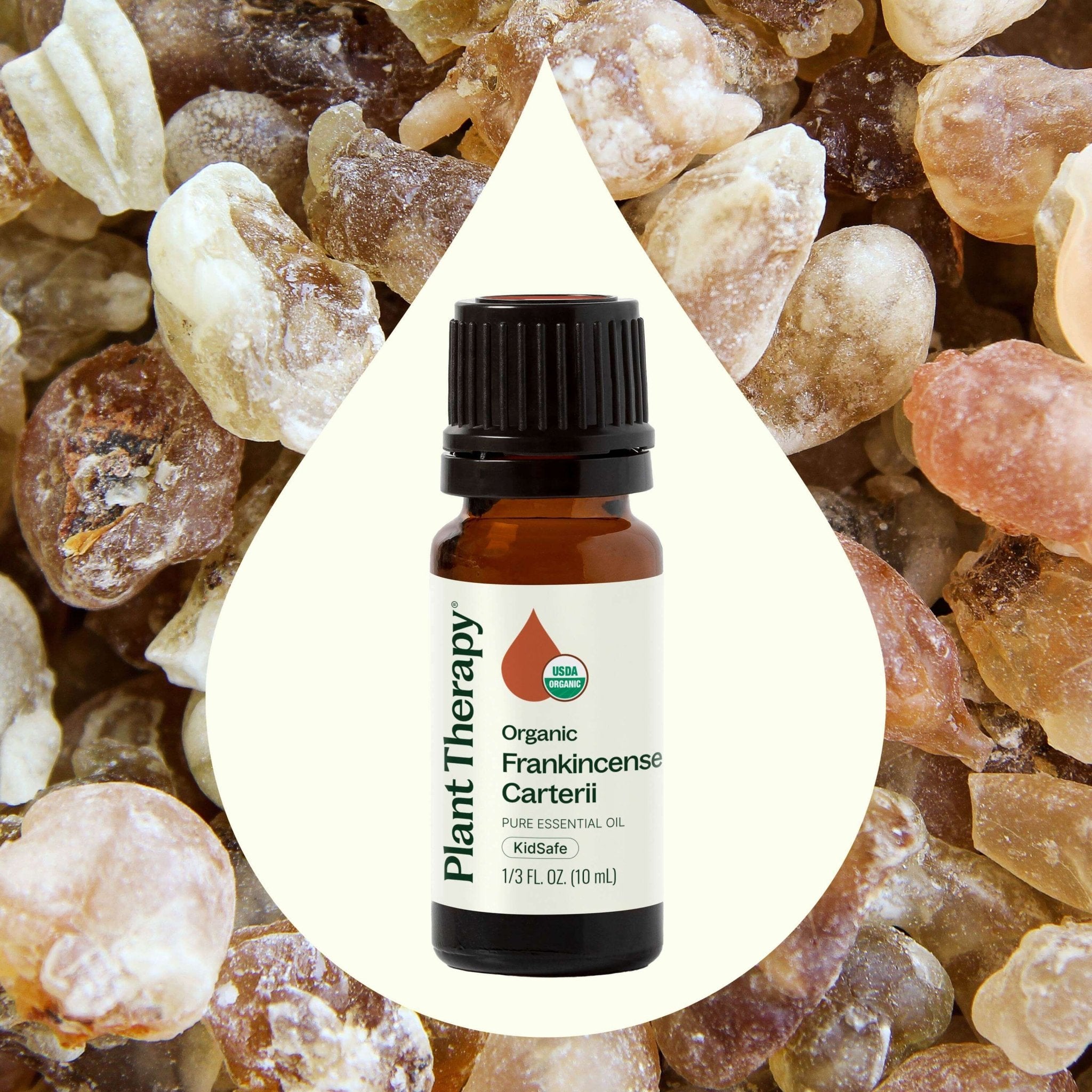 Plant Therapy Organic Frankincense Carterii Essential Oil