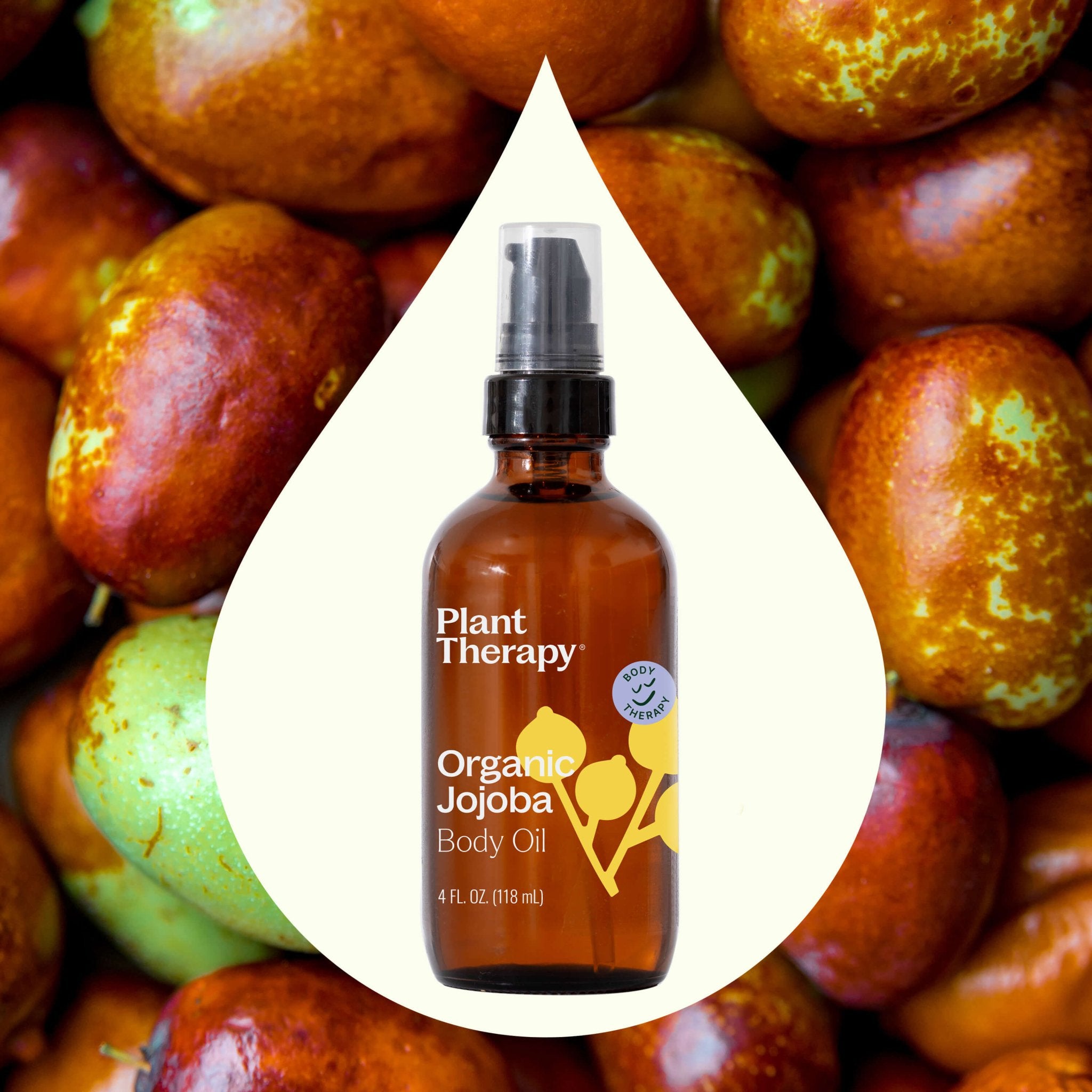 Plant Therapy Organic Jojoba Body Oil 4 oz