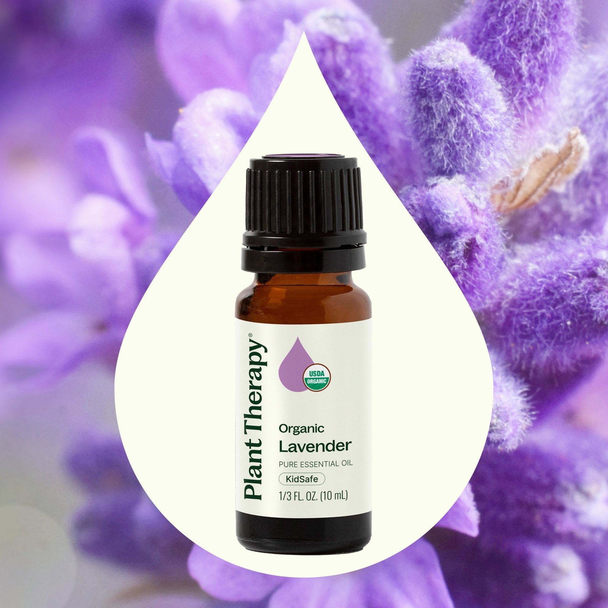 Plant Therapy Organic Lavender Essential Oil