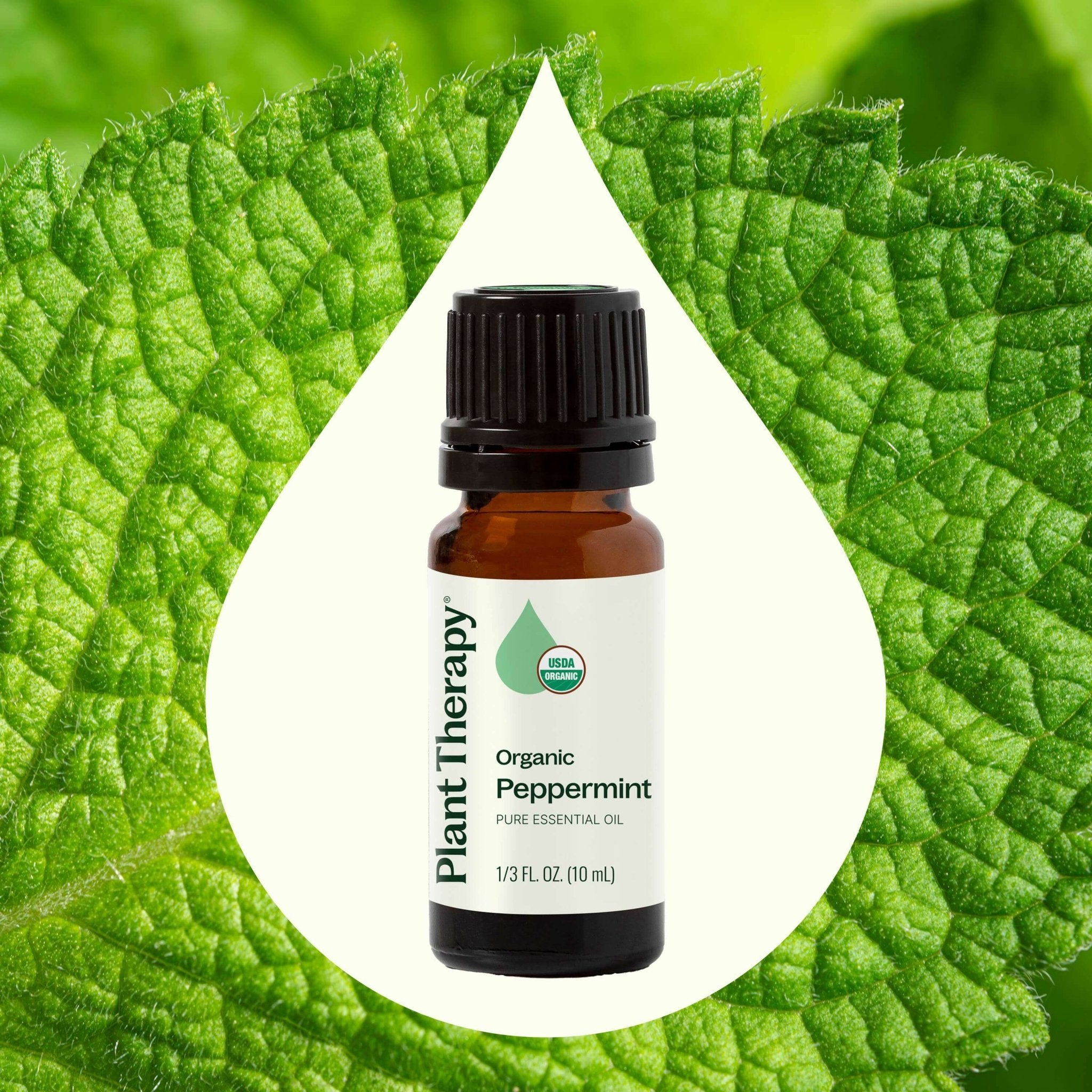 Plant Therapy Organic Peppermint Essential Oil