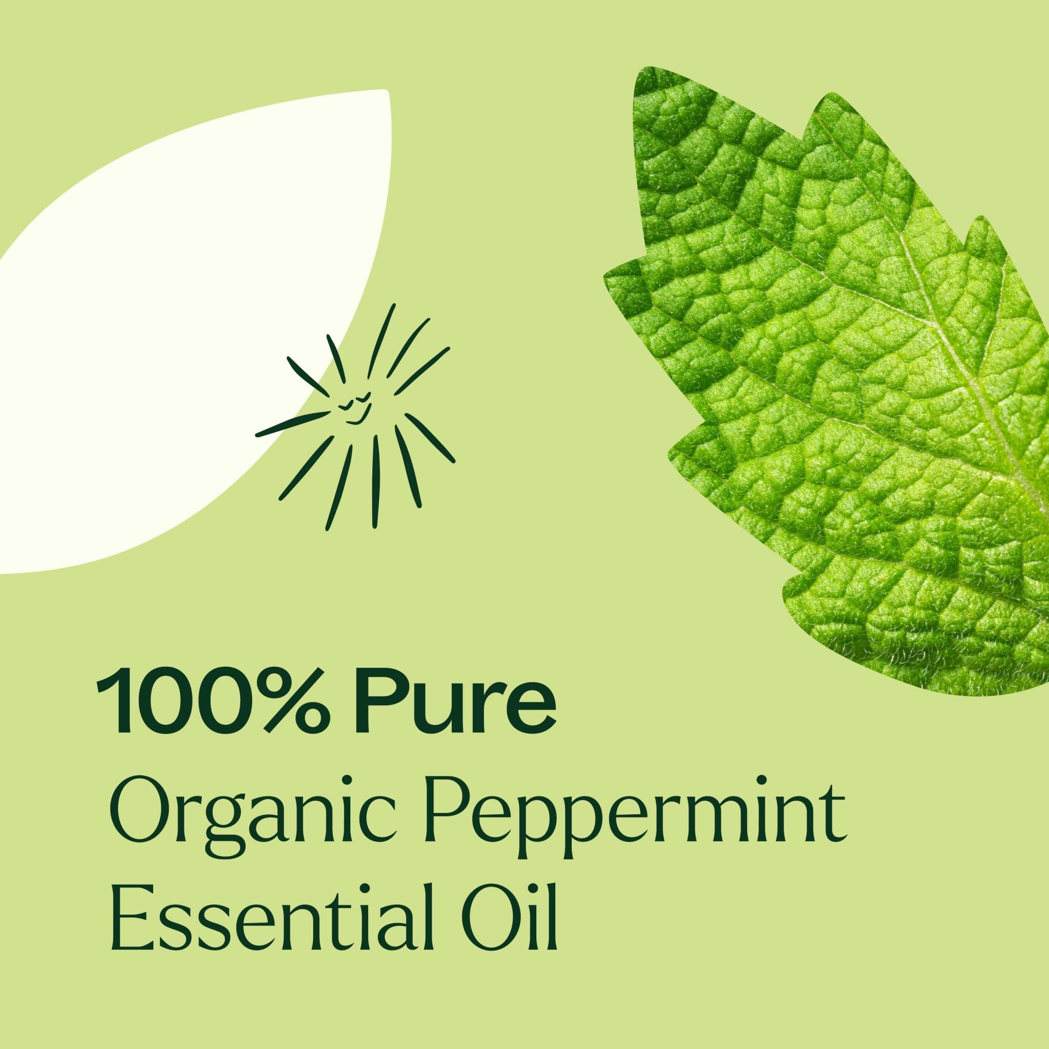 Plant Therapy Organic Peppermint Essential Oil