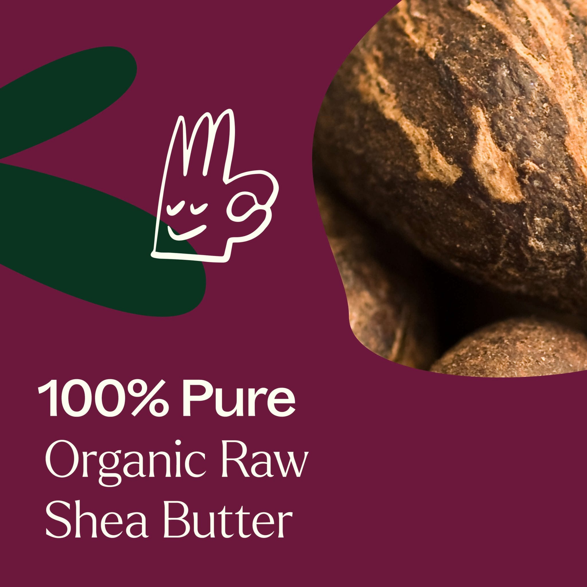 Plant Therapy Organic Shea Butter - M.S Skincare