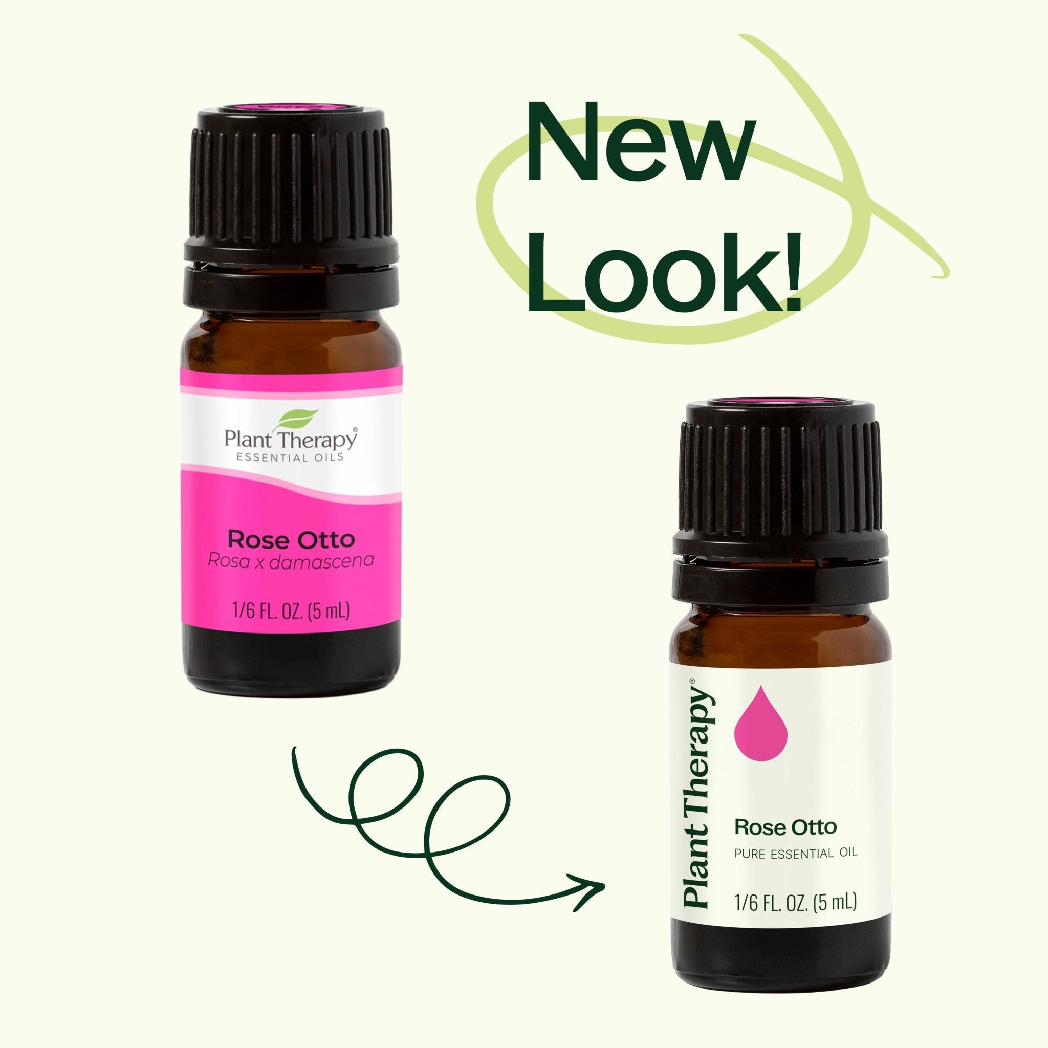 Plant Therapy Rose Otto Essential Oil