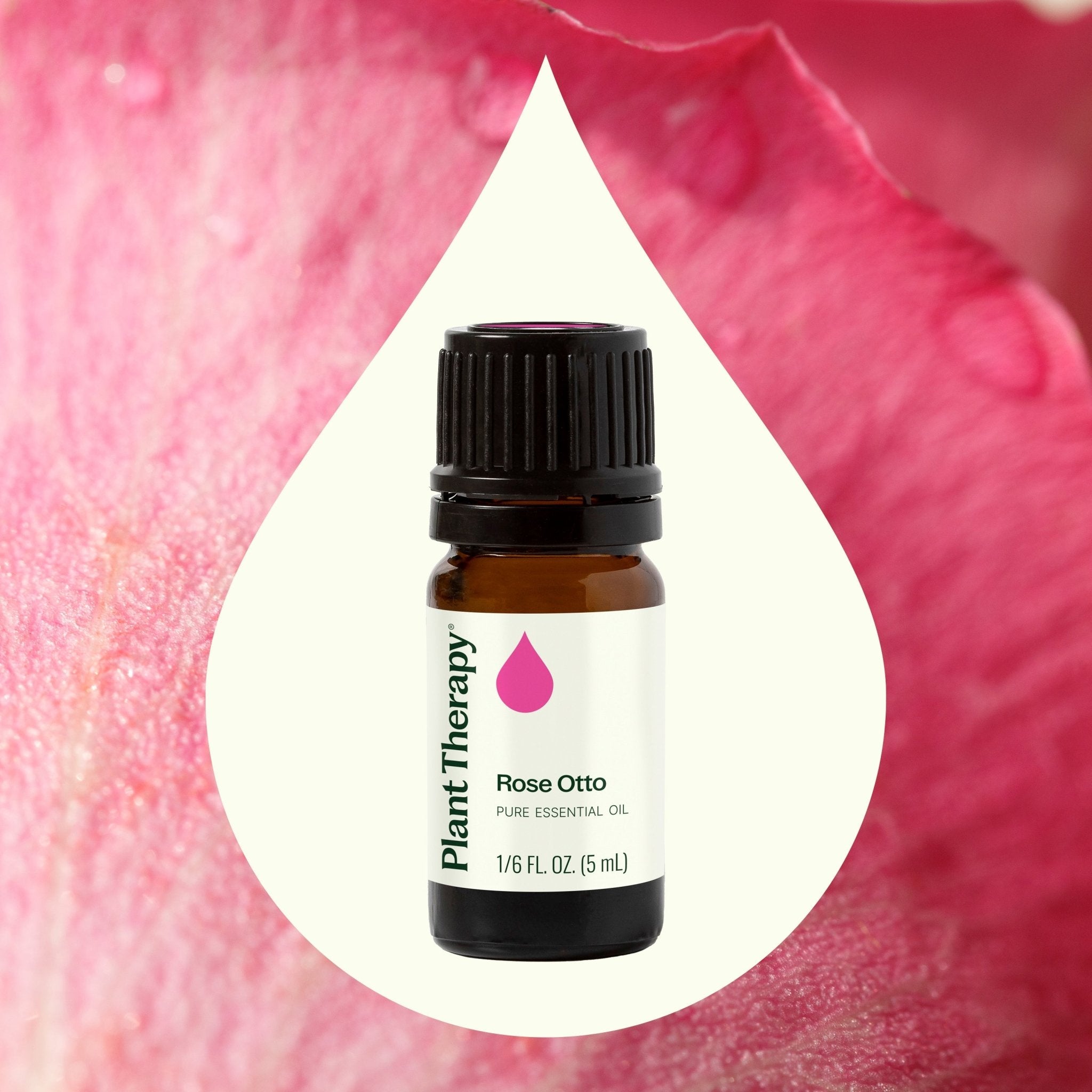 Plant Therapy Rose Otto Essential Oil