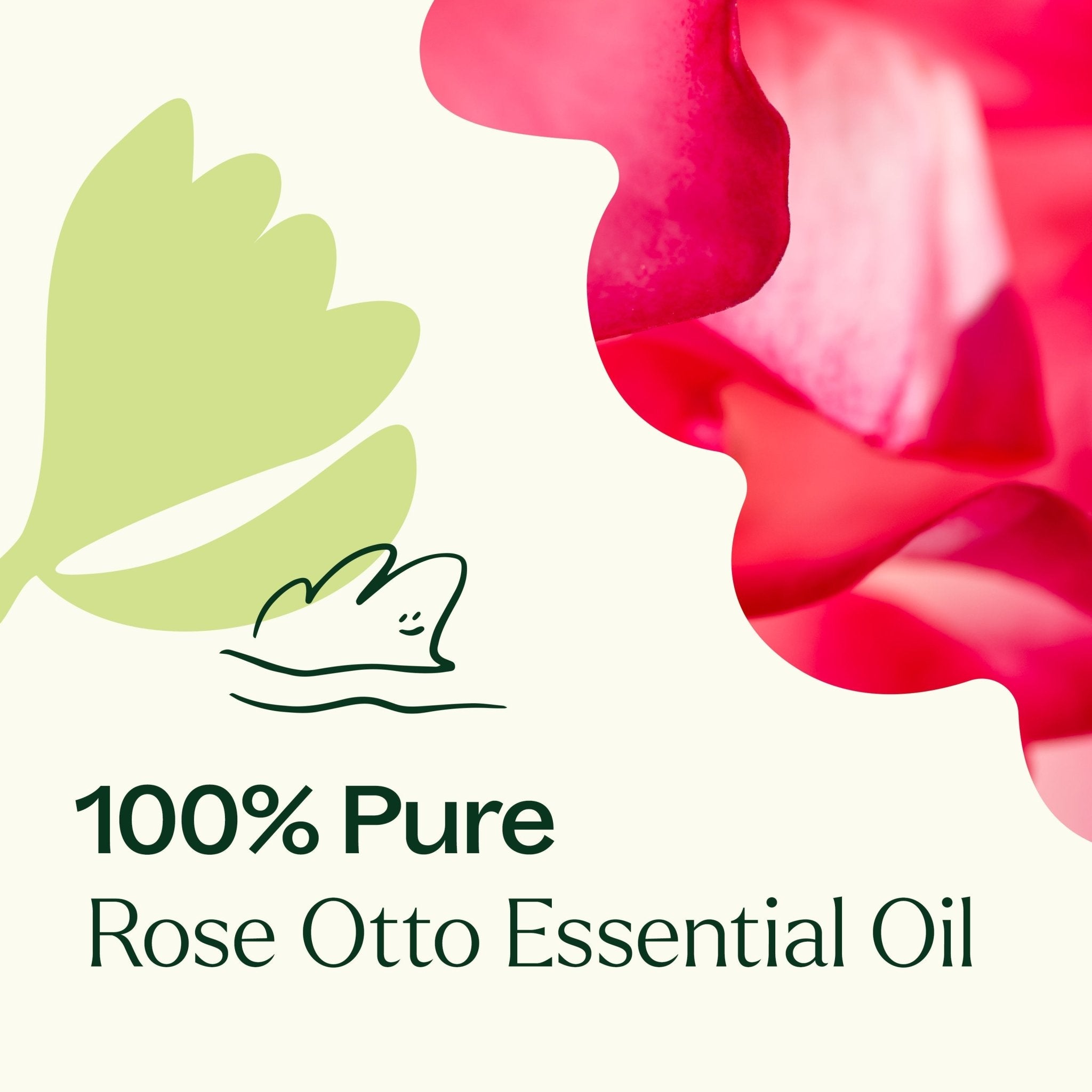 Plant Therapy Rose Otto Essential Oil