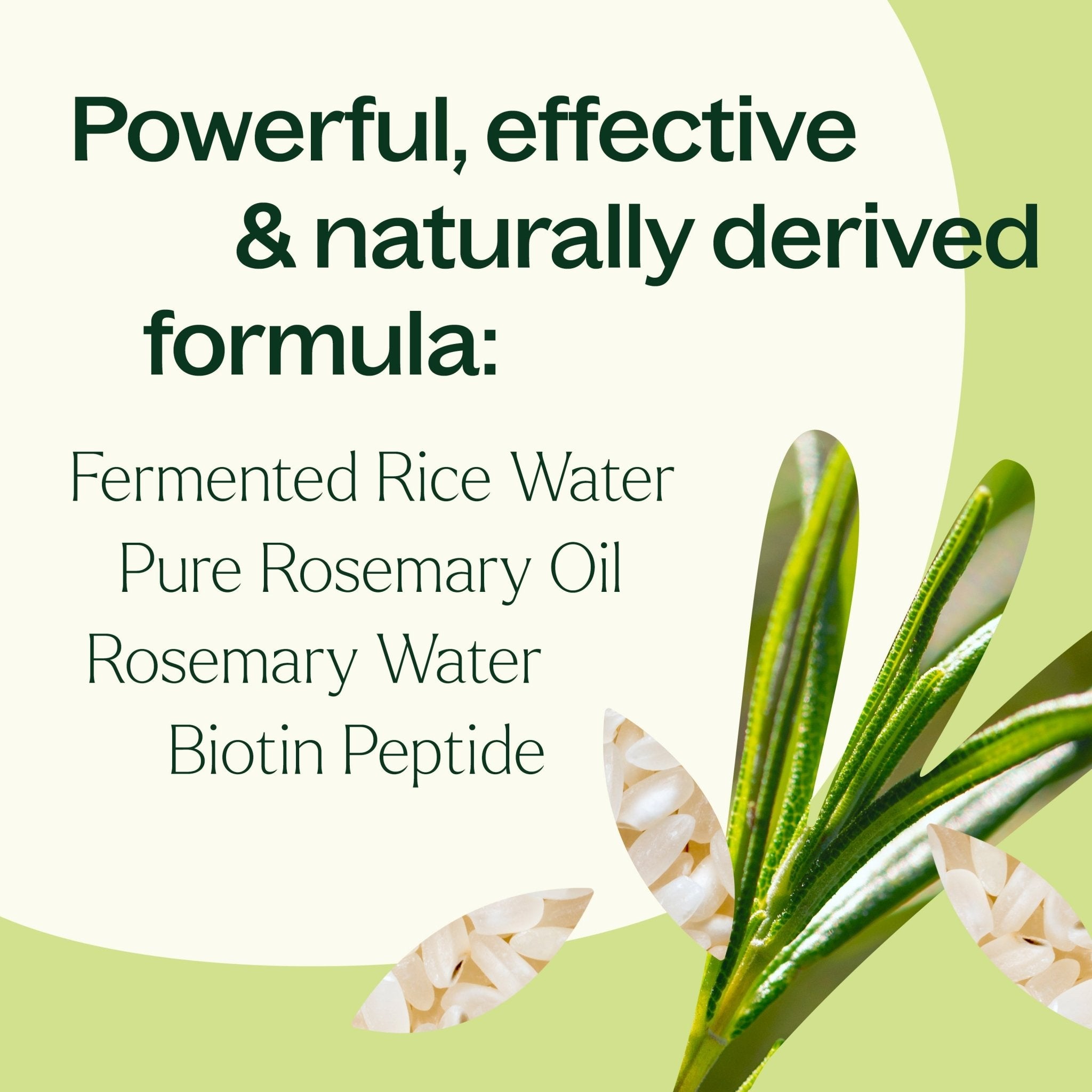 Plant Therapy Rosemary & Rice Water Daily Hair Growth Spray