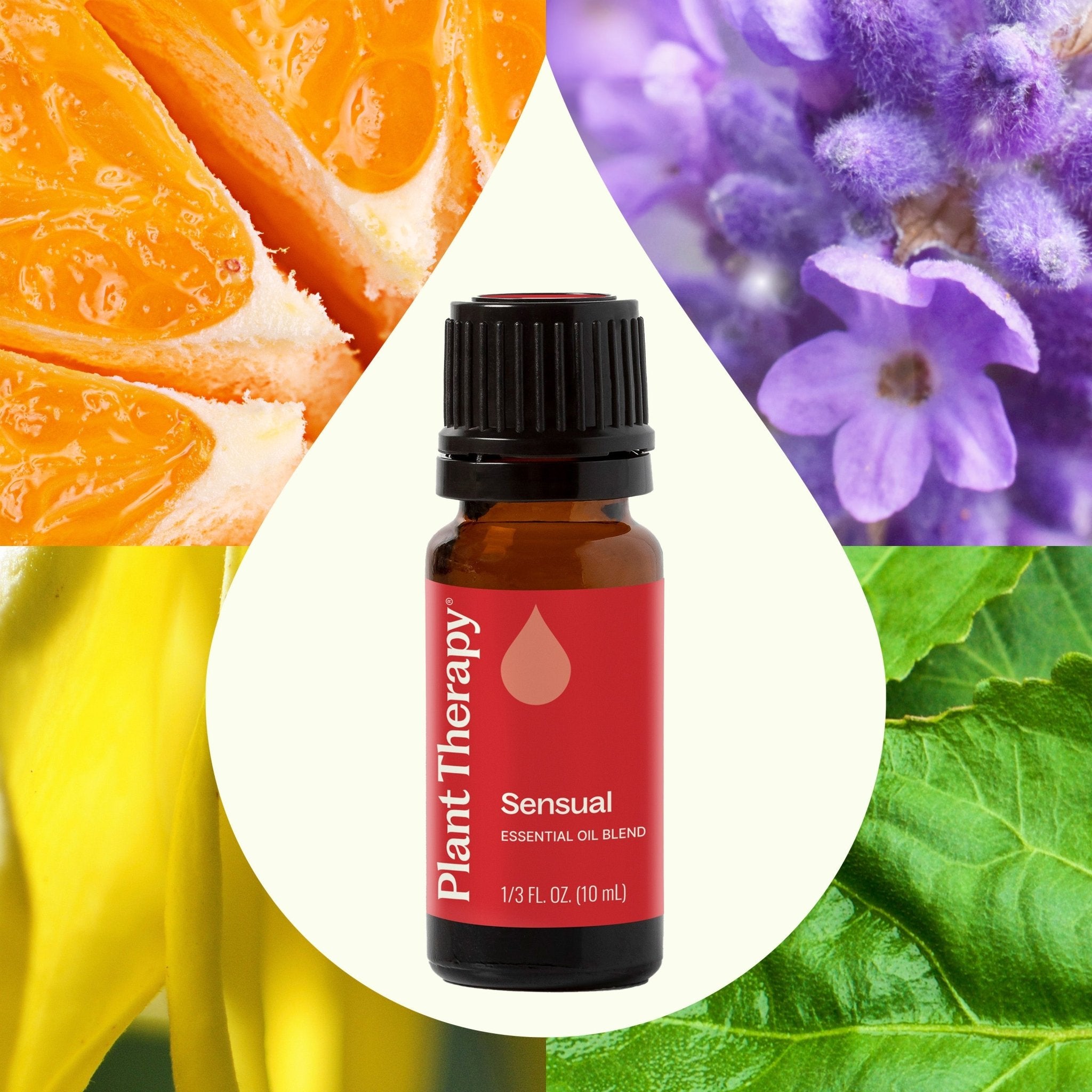 Plant Therapy Sensual Essential Oil Blend