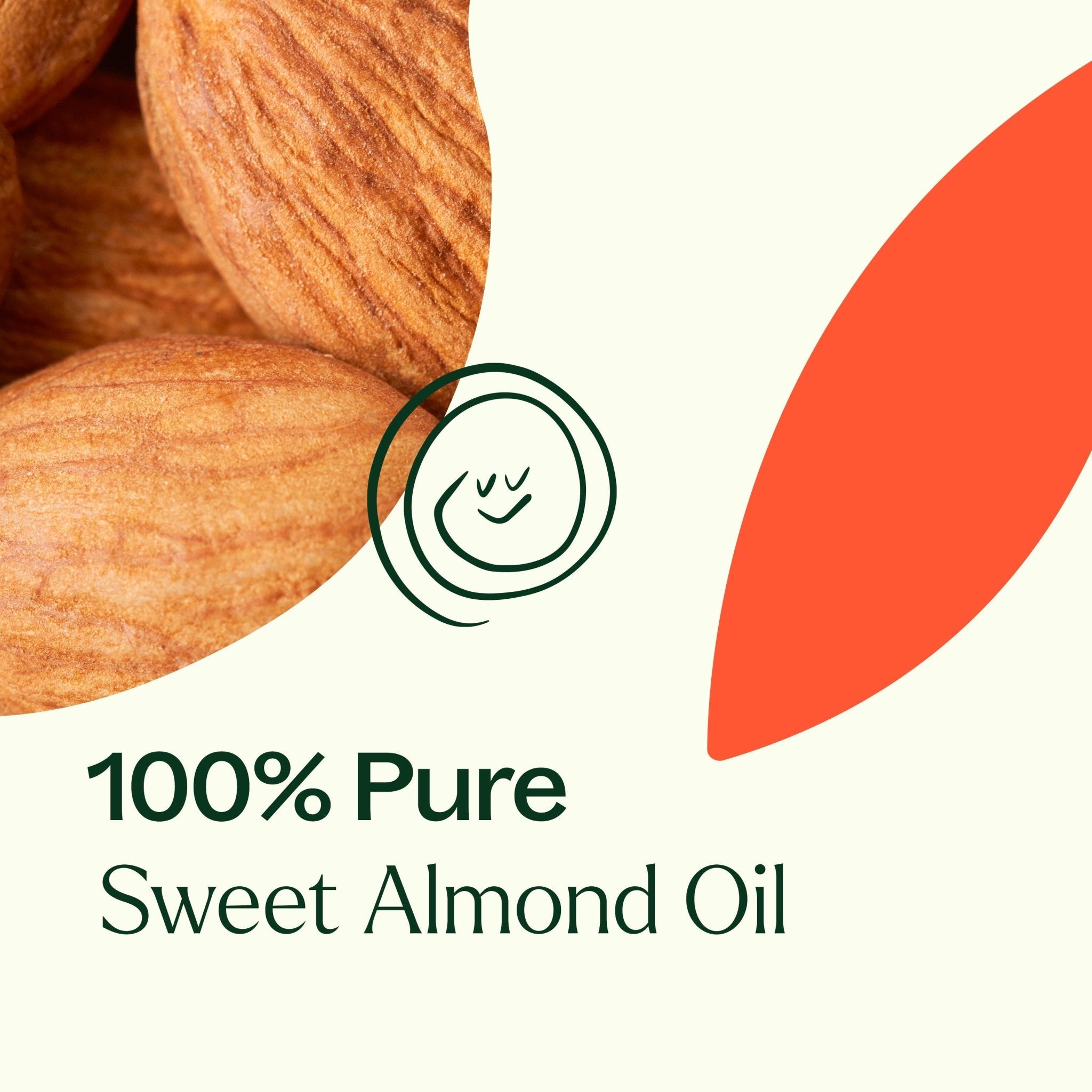 Plant Therapy Sweet Almond Carrier Oil