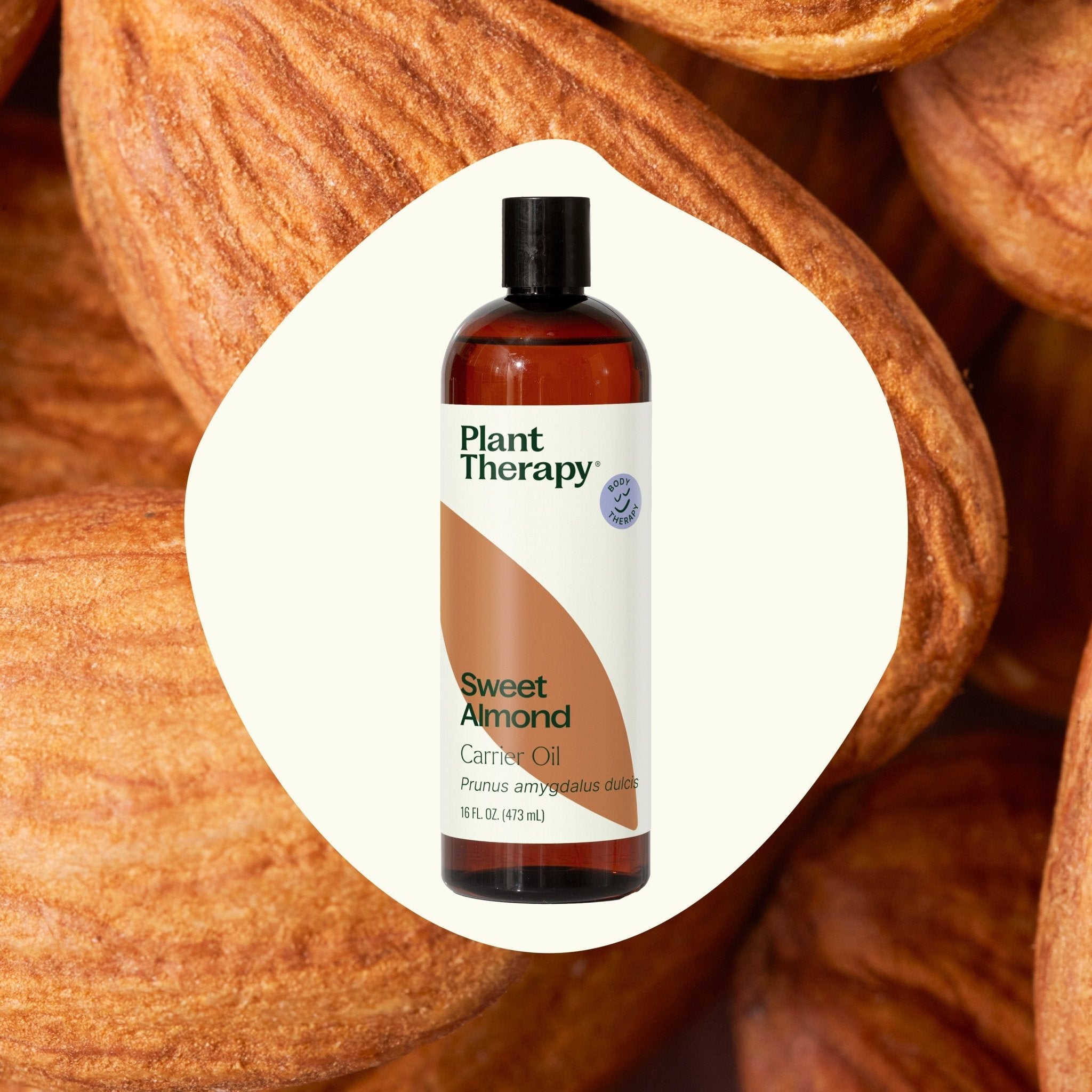 Plant Therapy Sweet Almond Carrier Oil